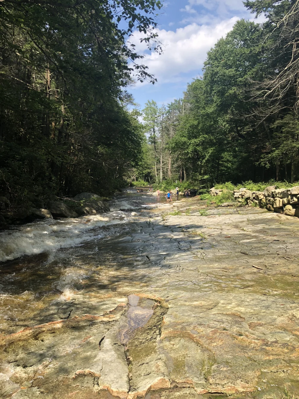 Bottom of the waterfall