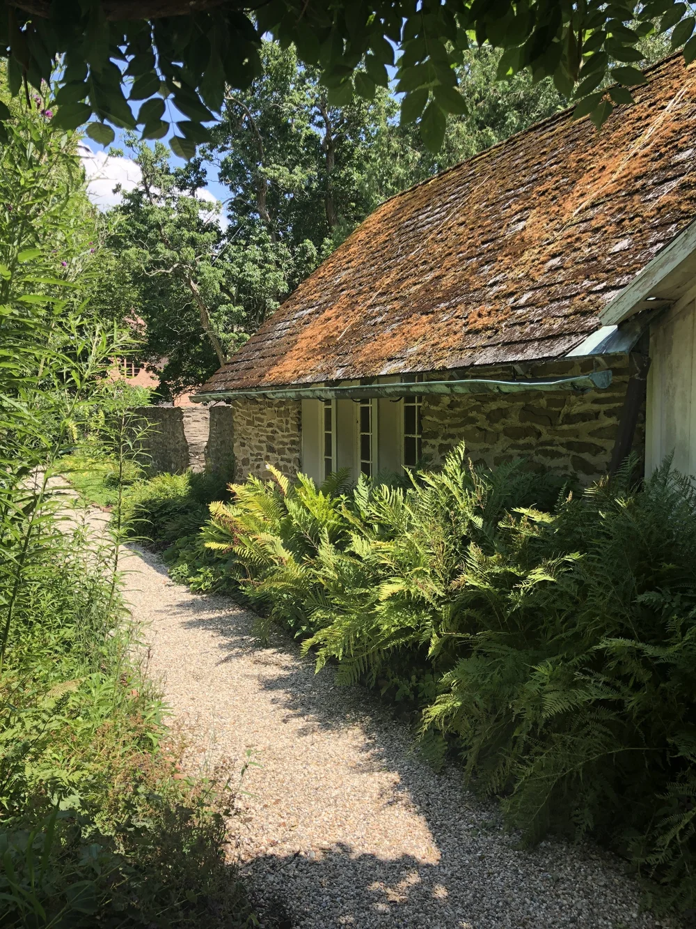 Garden @ Montgomery Place