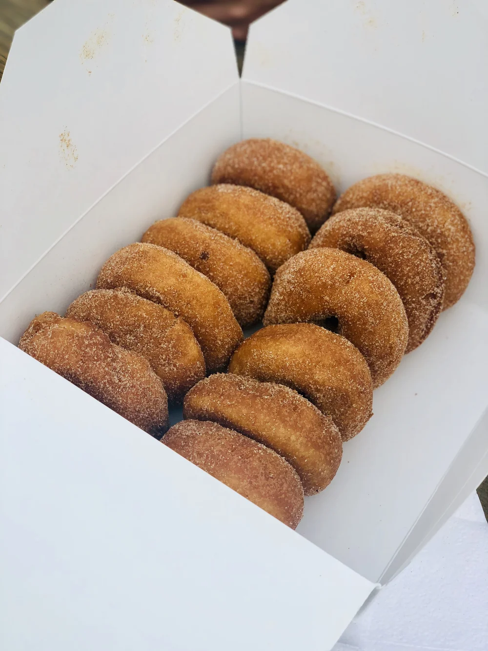 Apple cider donuts