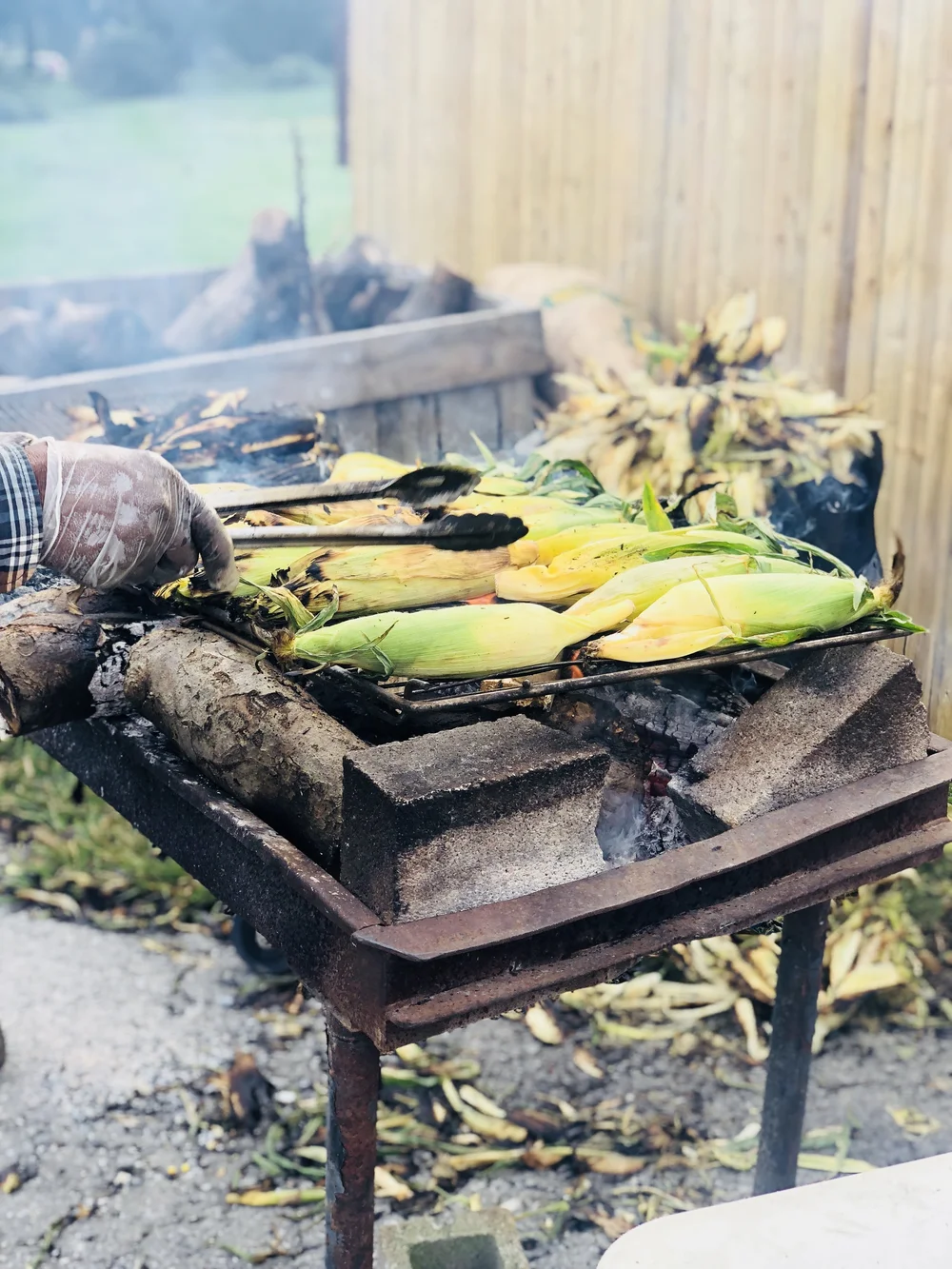 Grill corns @ the farm