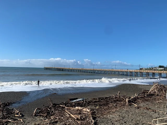 Cayucos State Beach
