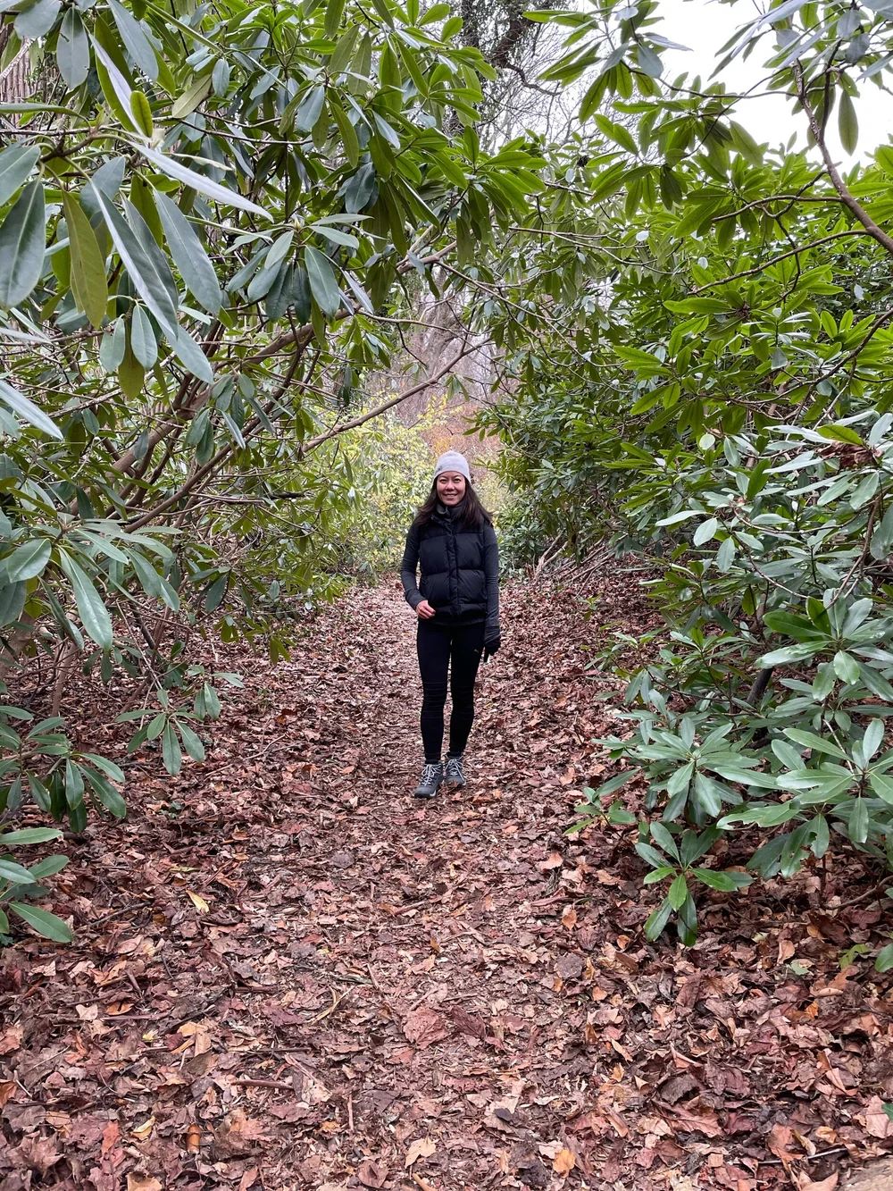 Welwyn Preserve County Park — Cindy's Journal