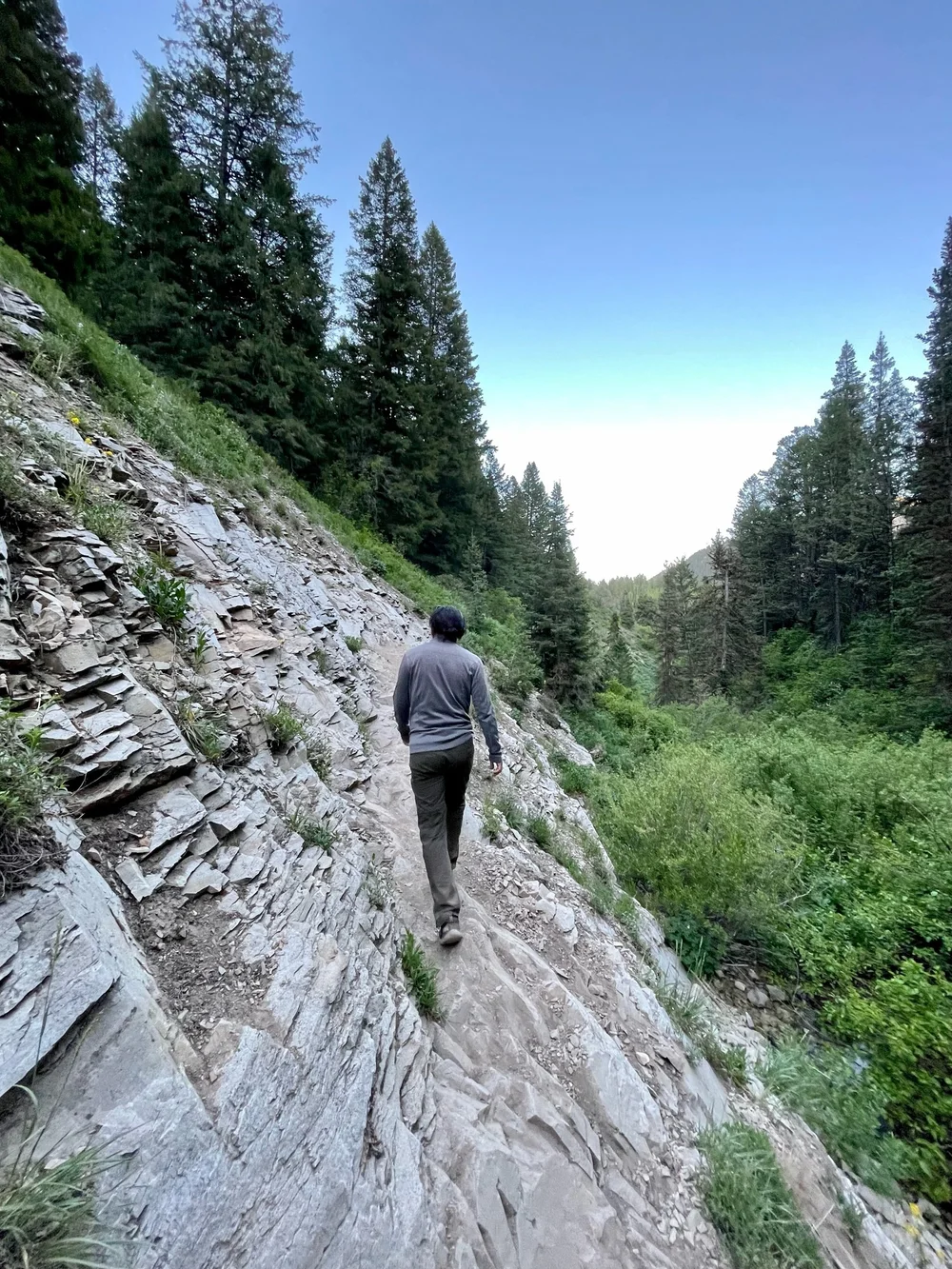 Circle All Peak - Butler Fork Trailhead