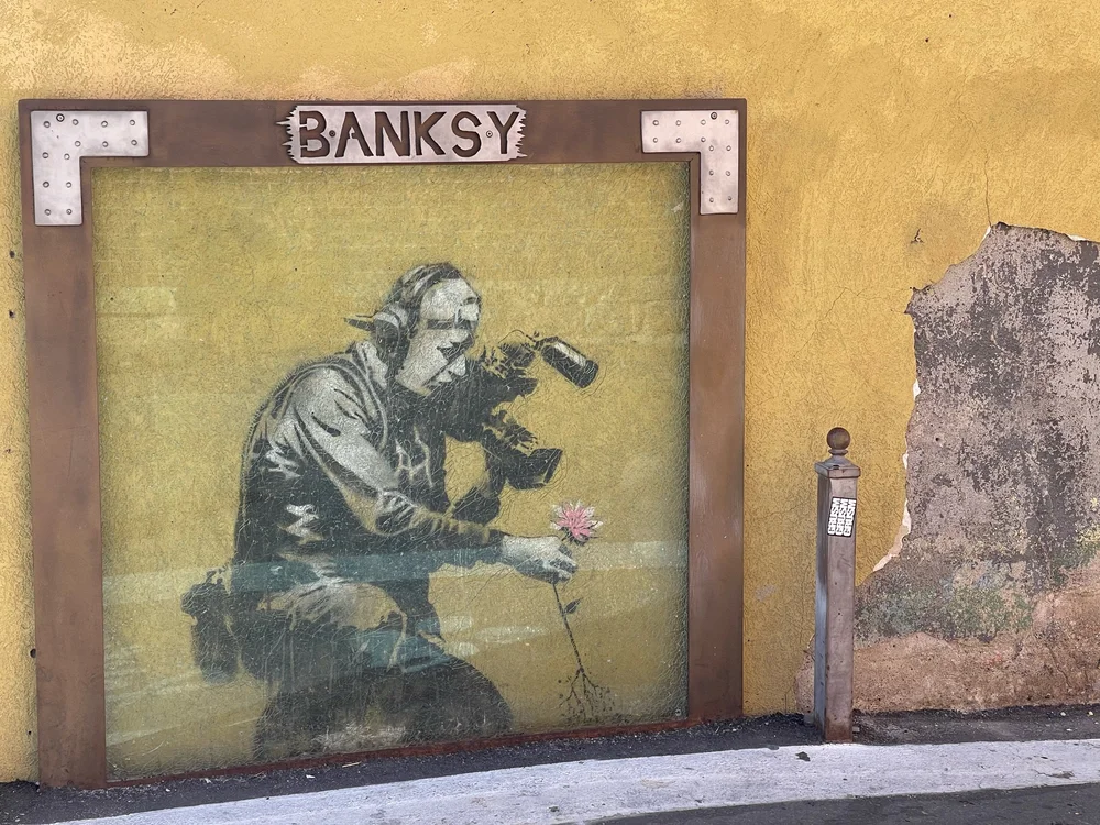 Banksy Filmmaker Flower