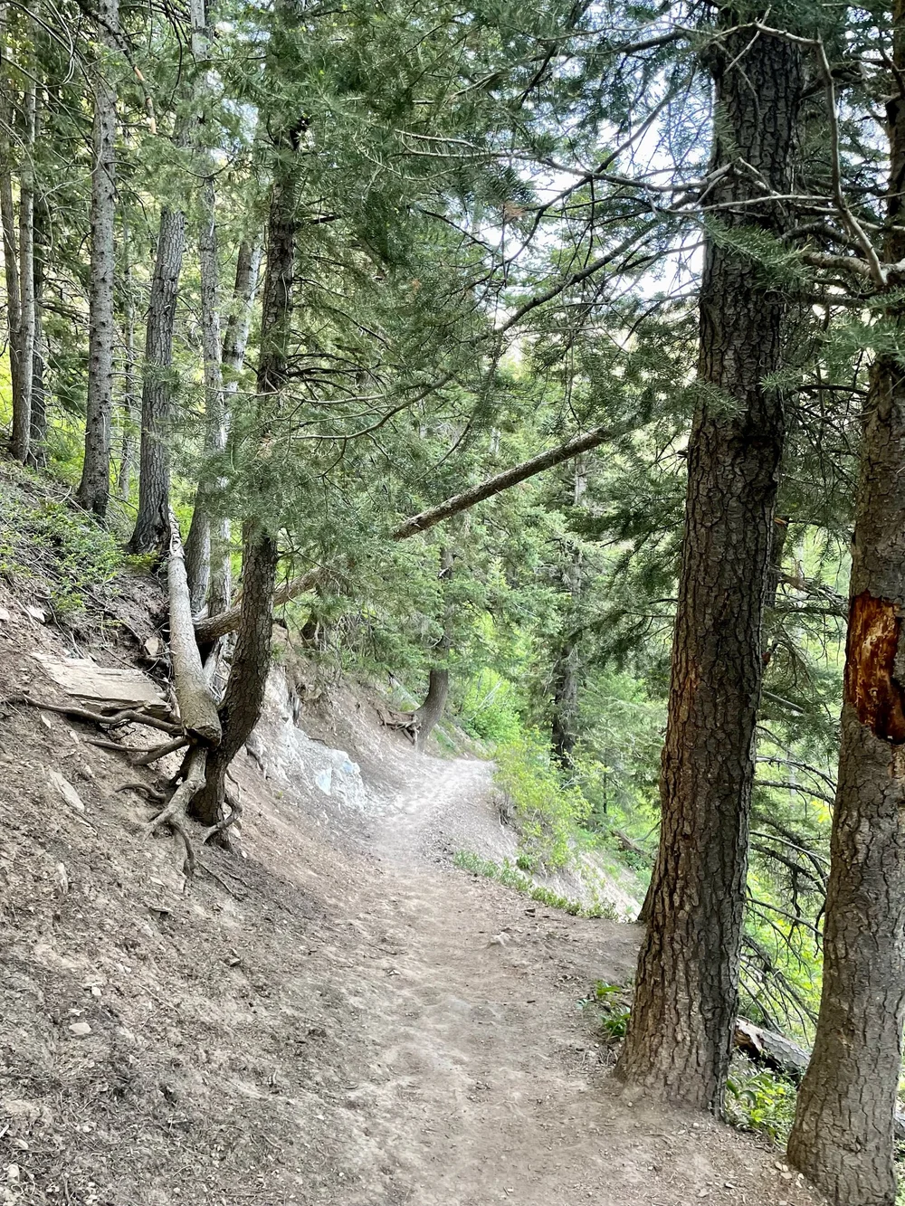 Circle All Peak - Butler Fork Trailhead