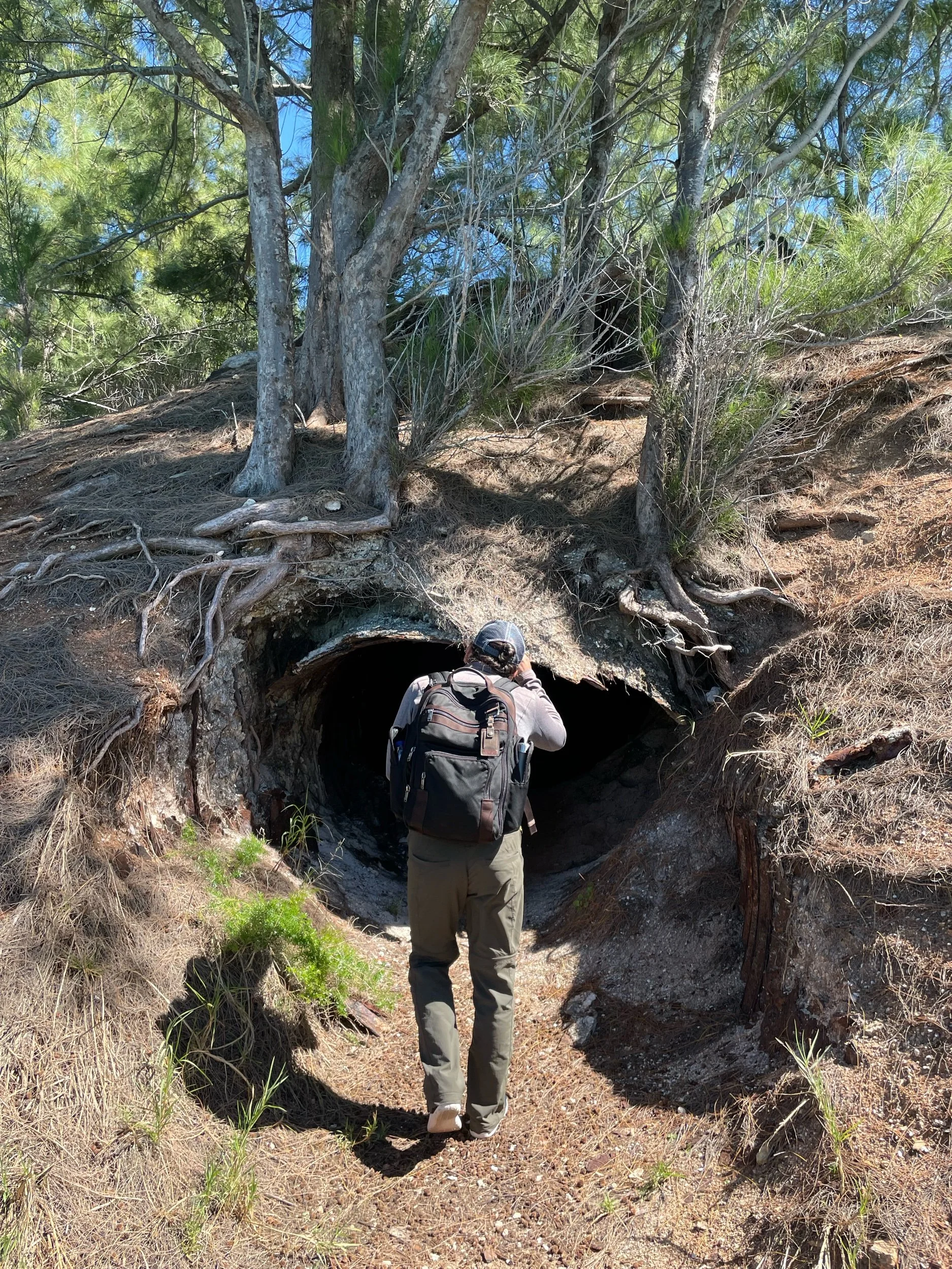 Cooperβs Island Nature Reserve