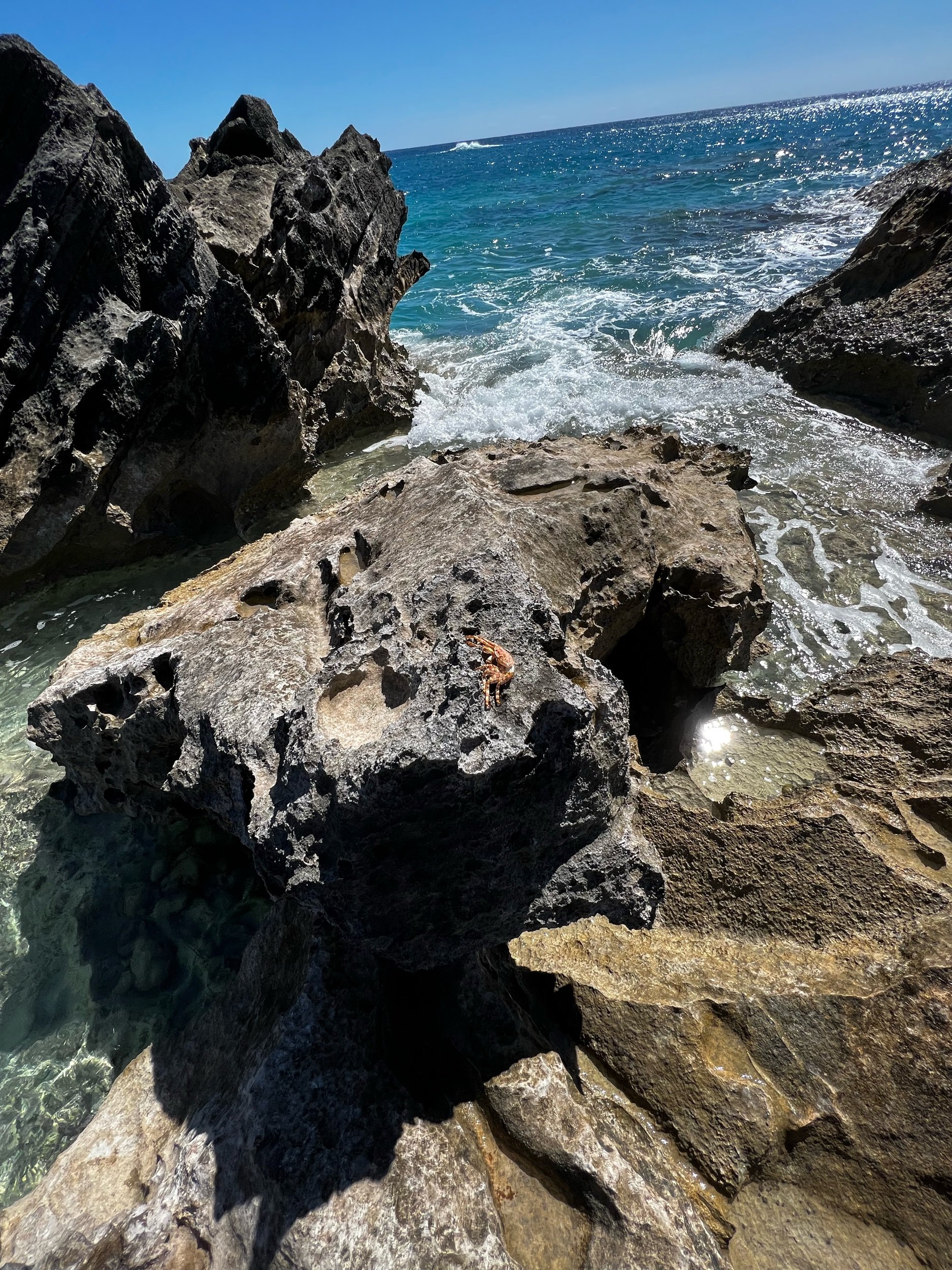 Cooperβs Island Nature Reserve