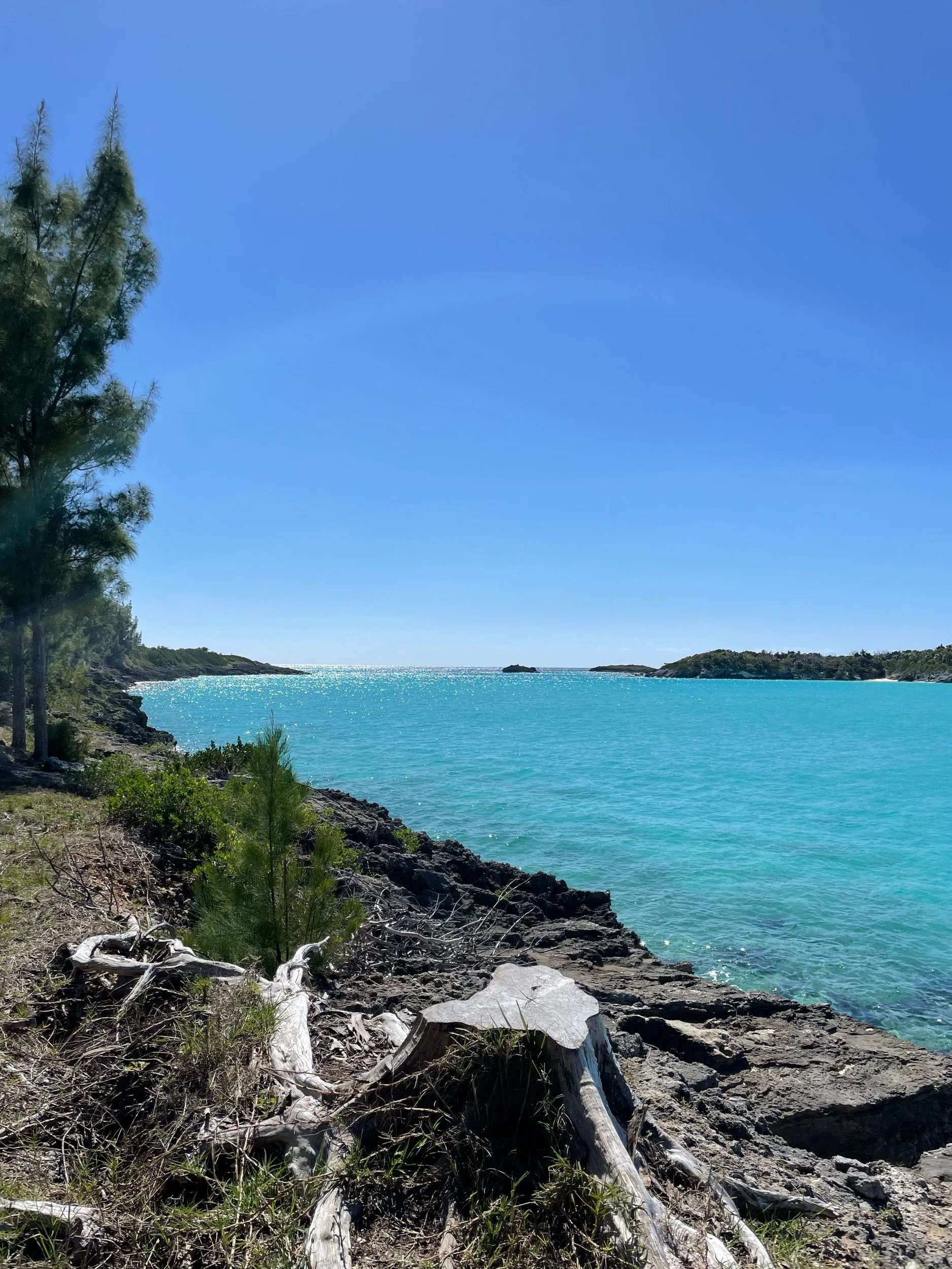 Cooperβs Island Nature Reserve