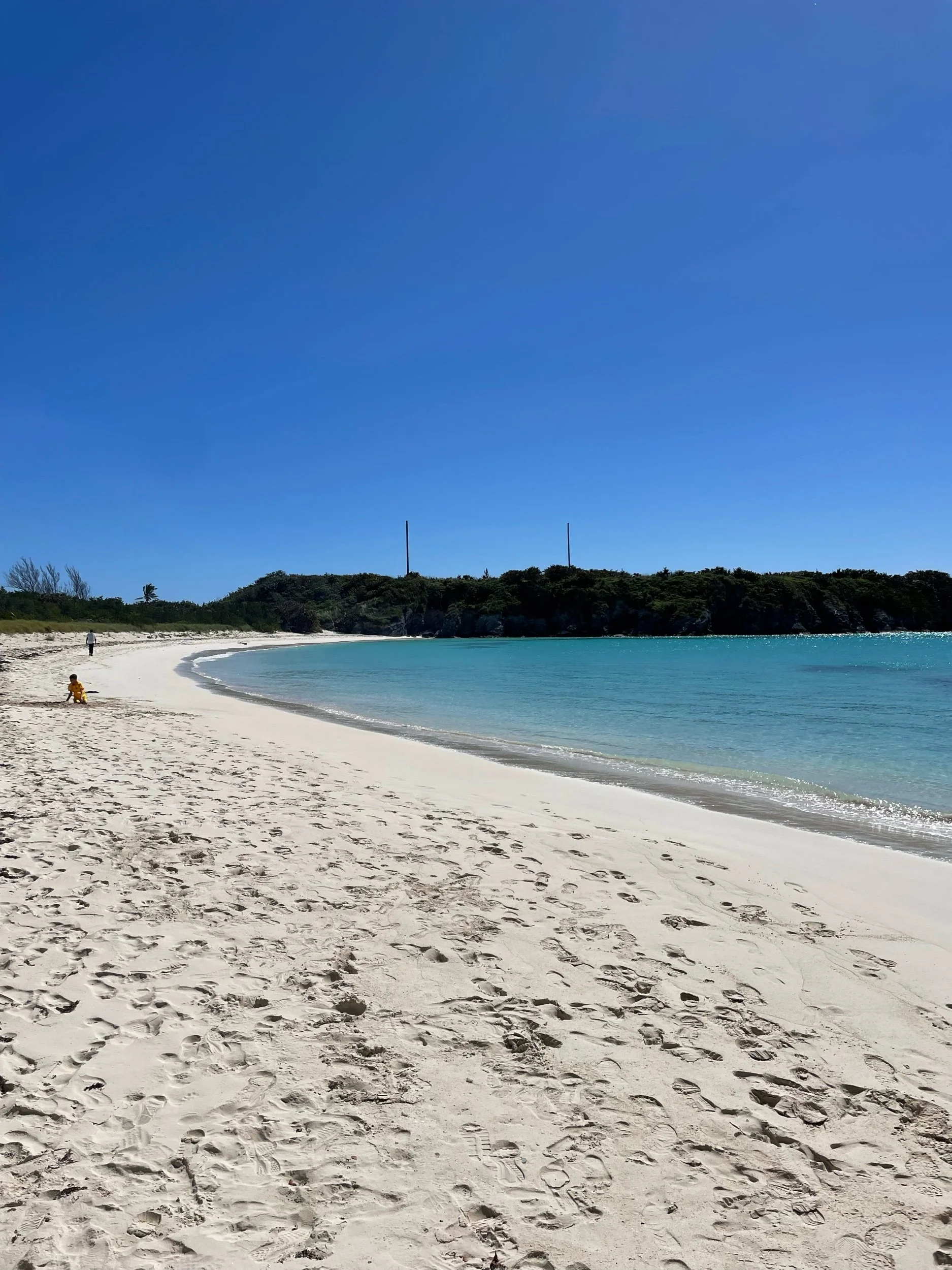 Long Bay Beach @ Cooperβs Island Nature Reserve