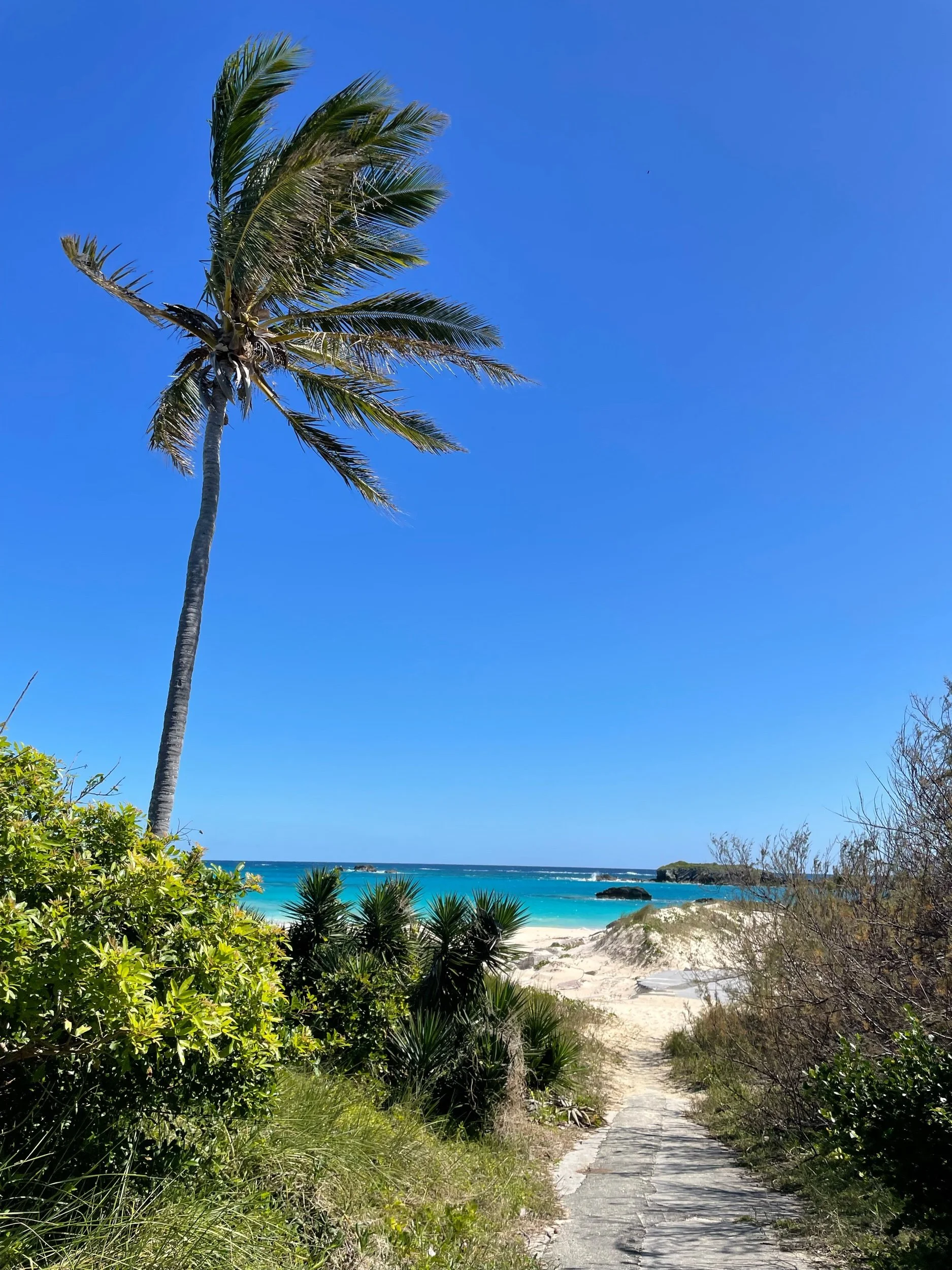 Cooperβs Island Nature Reserve