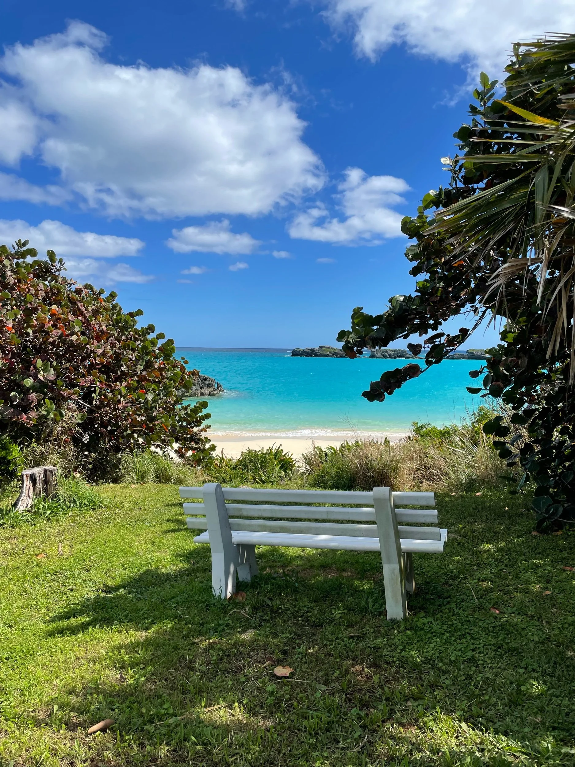 Turtle Beach @ Cooperβs Island Nature Reserve