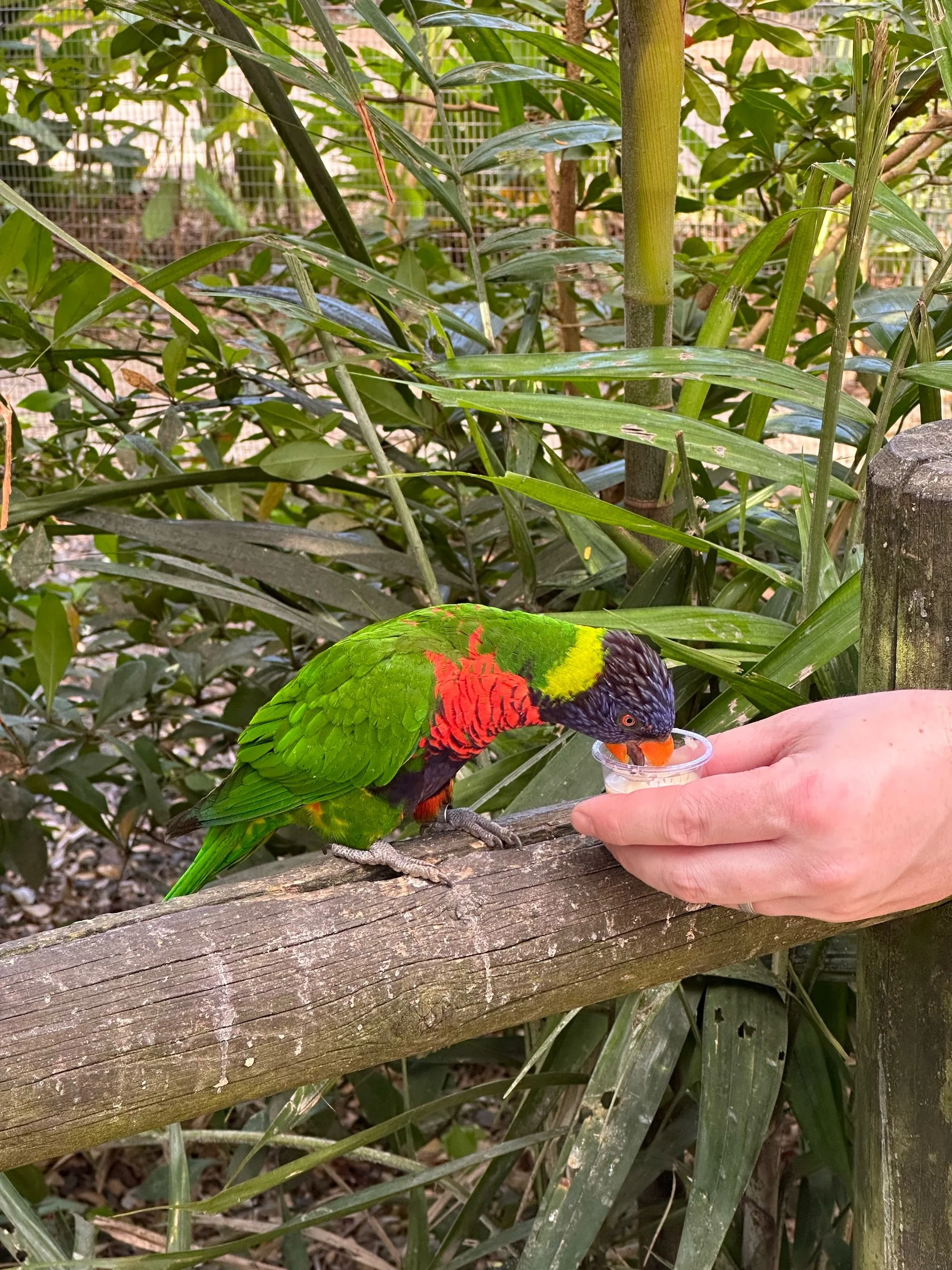 Jardin Botanique de Deshaies