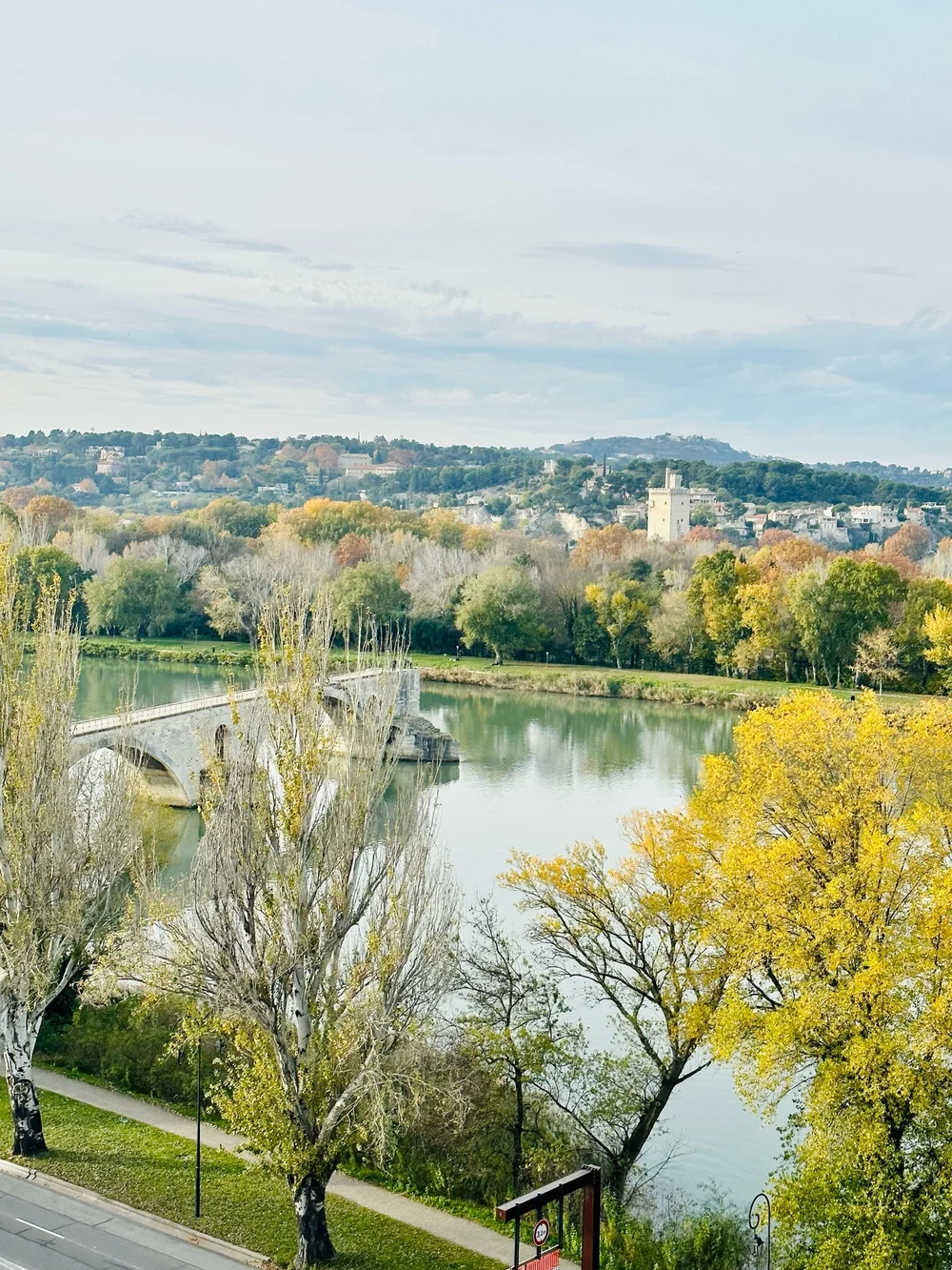 The view of Pont d’Avigon @ Avignon