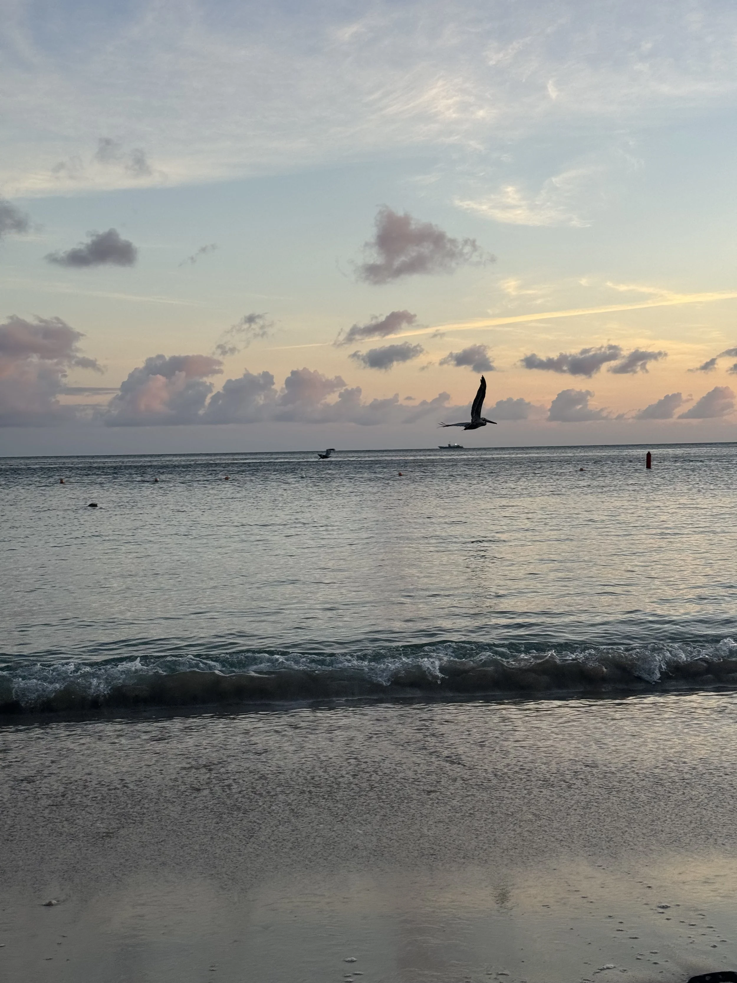 Sunset @ Reggae Beach