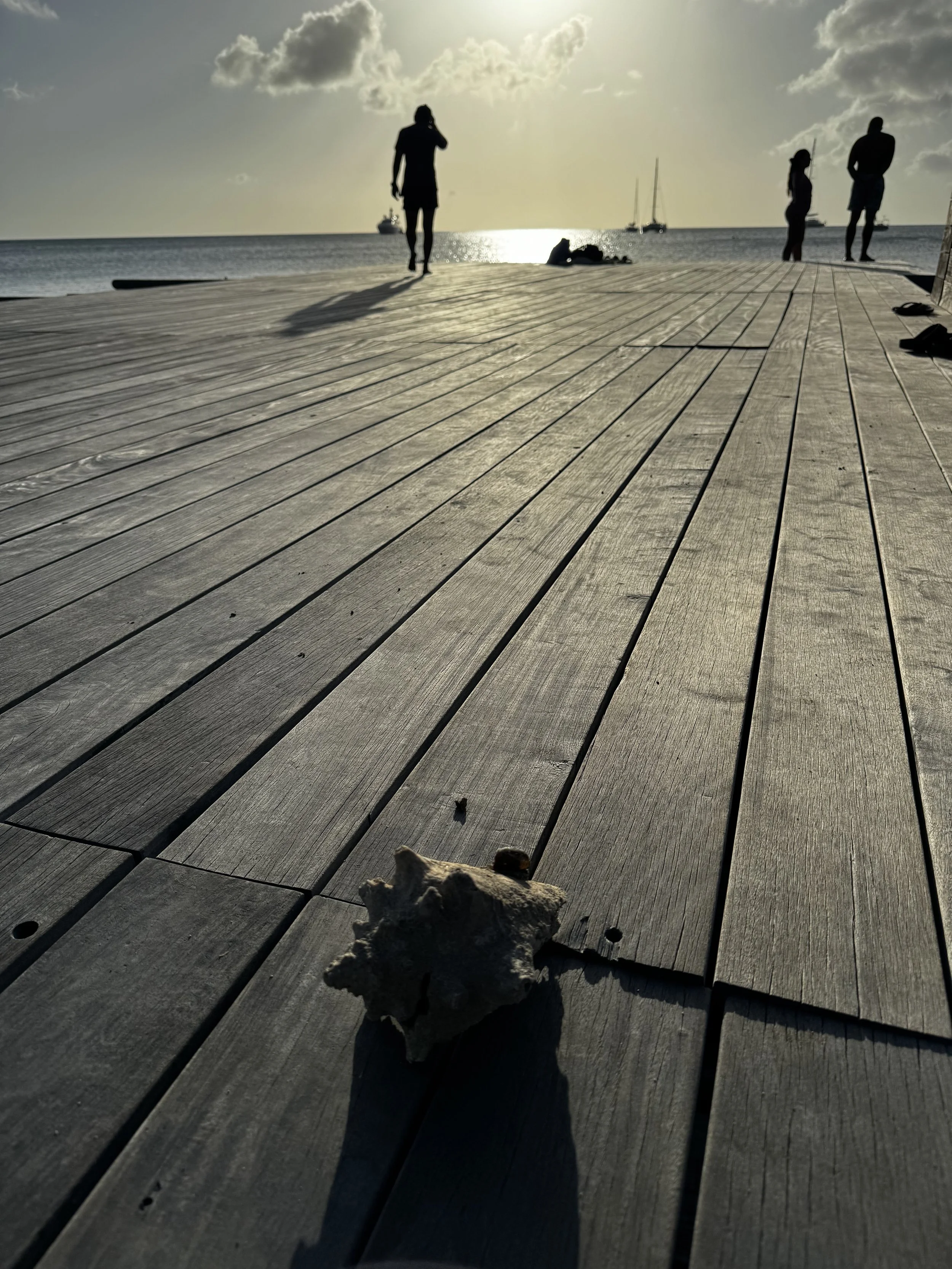 Christopher  Harbour