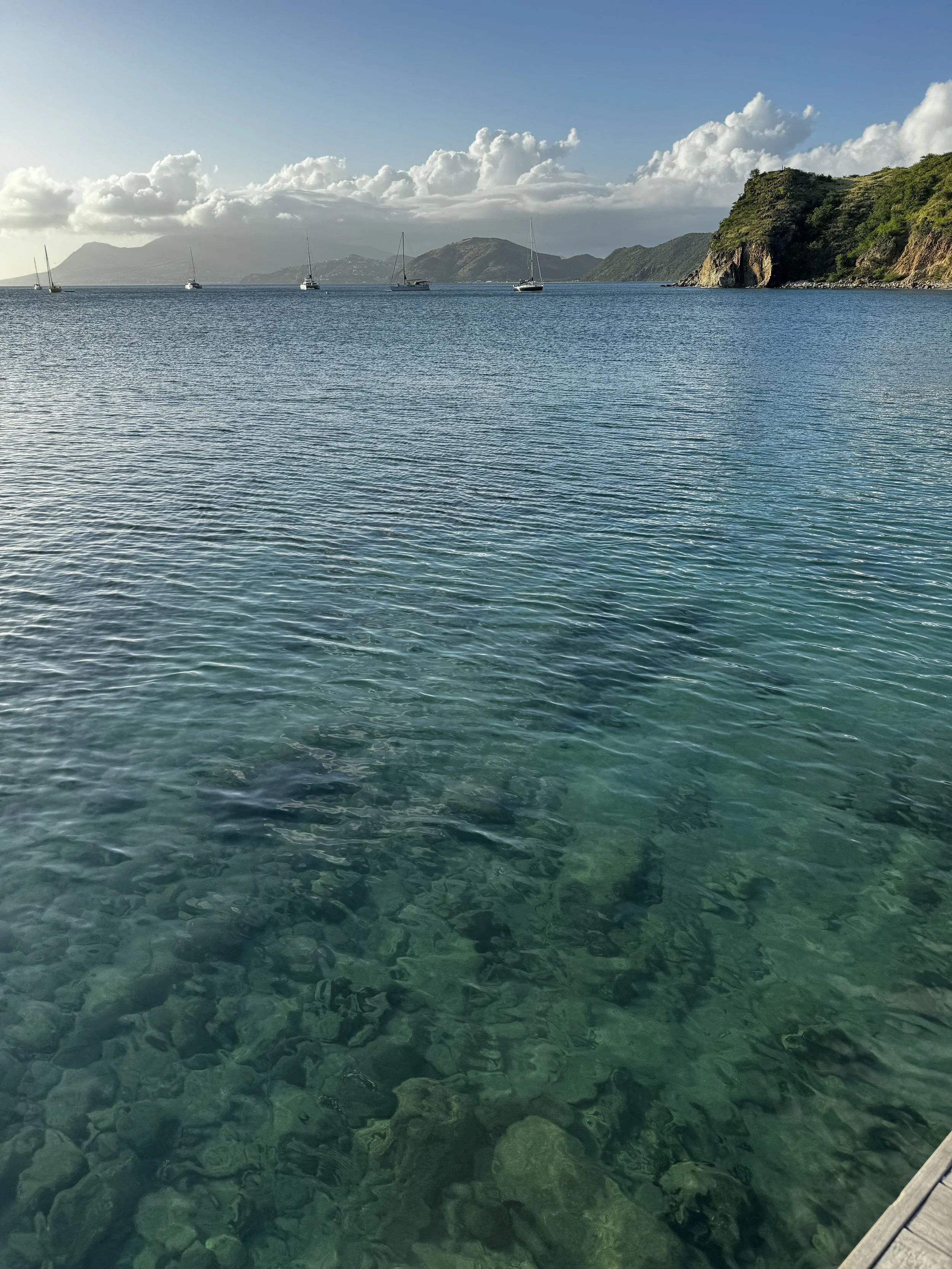 Christopher  Harbour