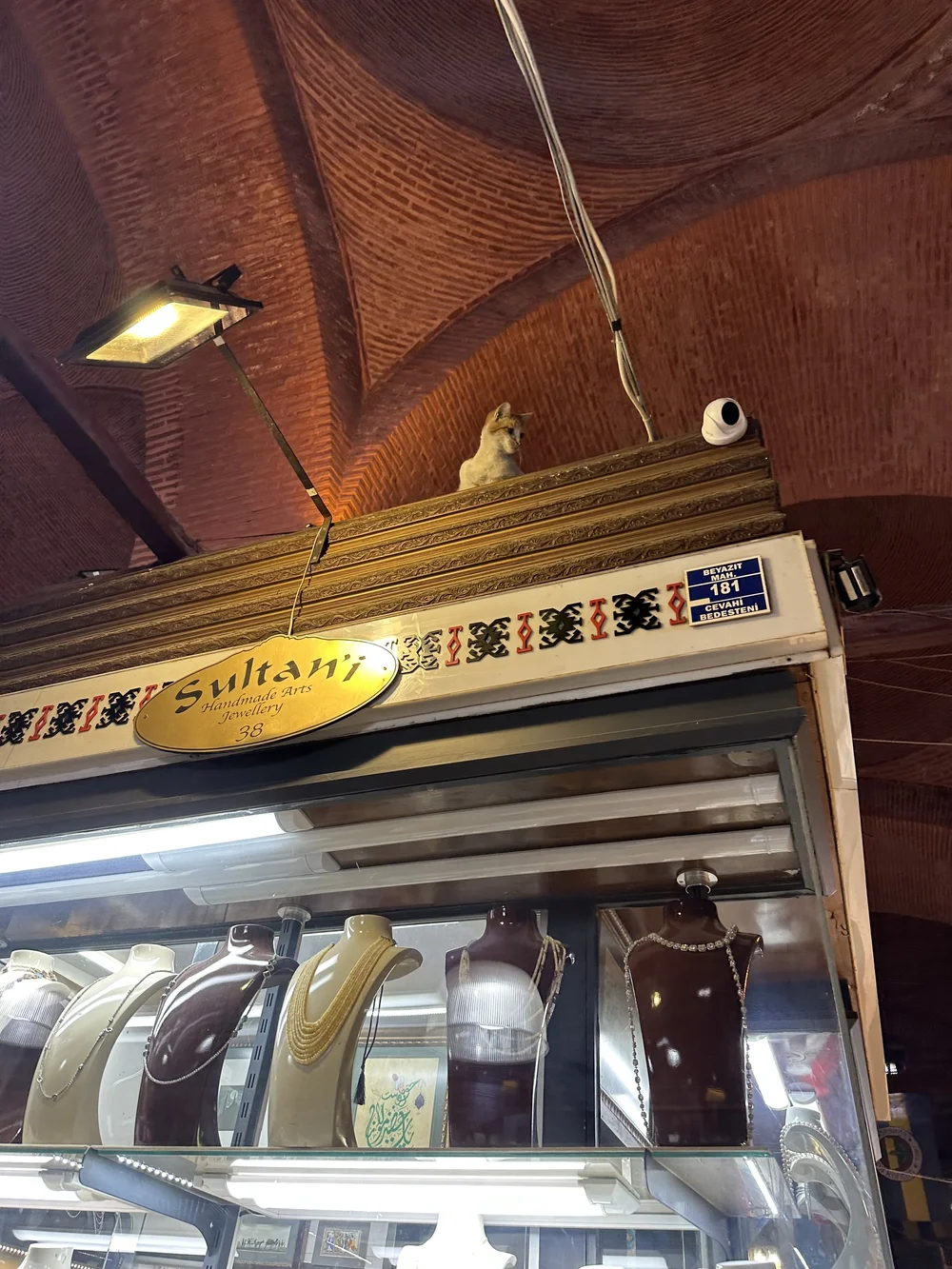 Grand Bazaar - cat cam