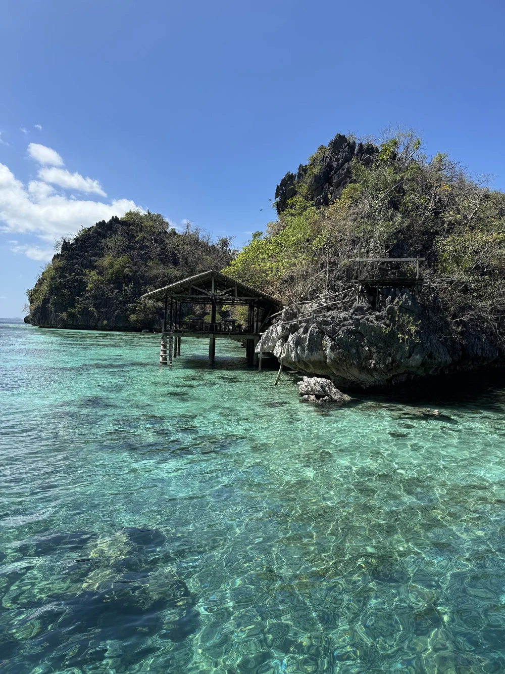 Snorkeling @ Skeleton Wreck