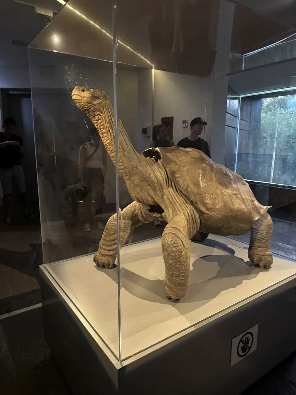 Charles Darwin Research Breeding Center - Lonesome George