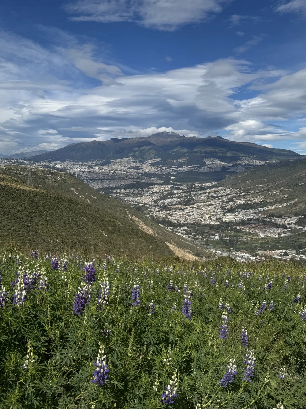 Overlooking Quito