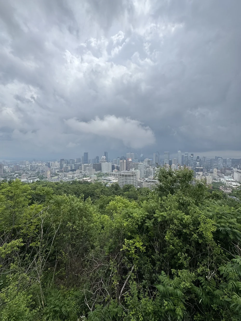 View from Kondiaronk Belvedere 