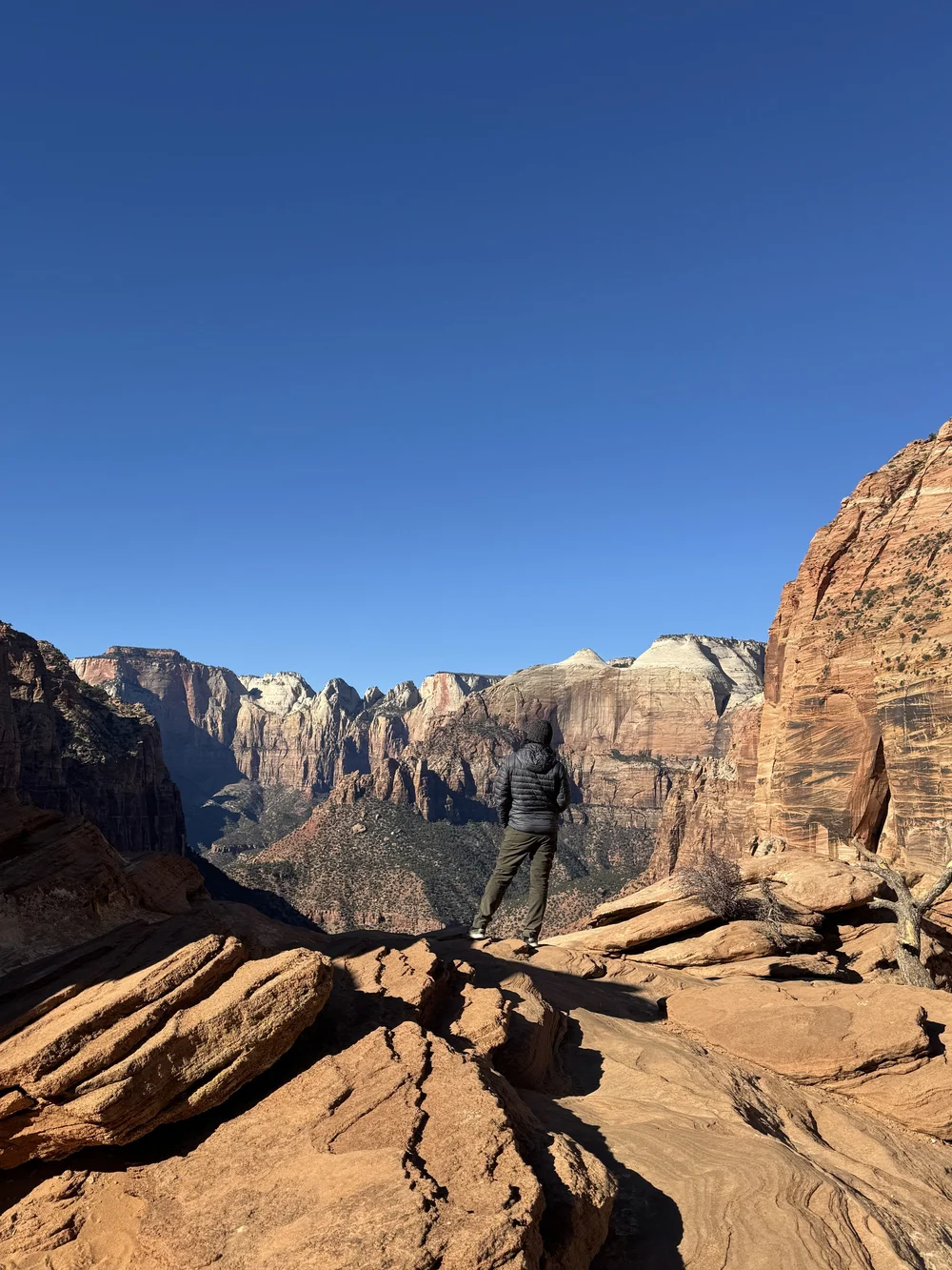 Canyon Overlook Trail