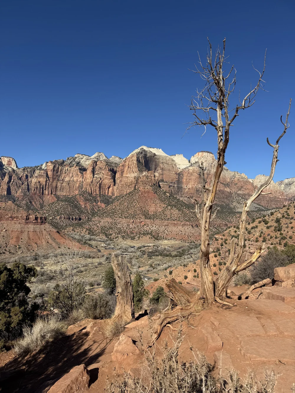 Watchman Trail