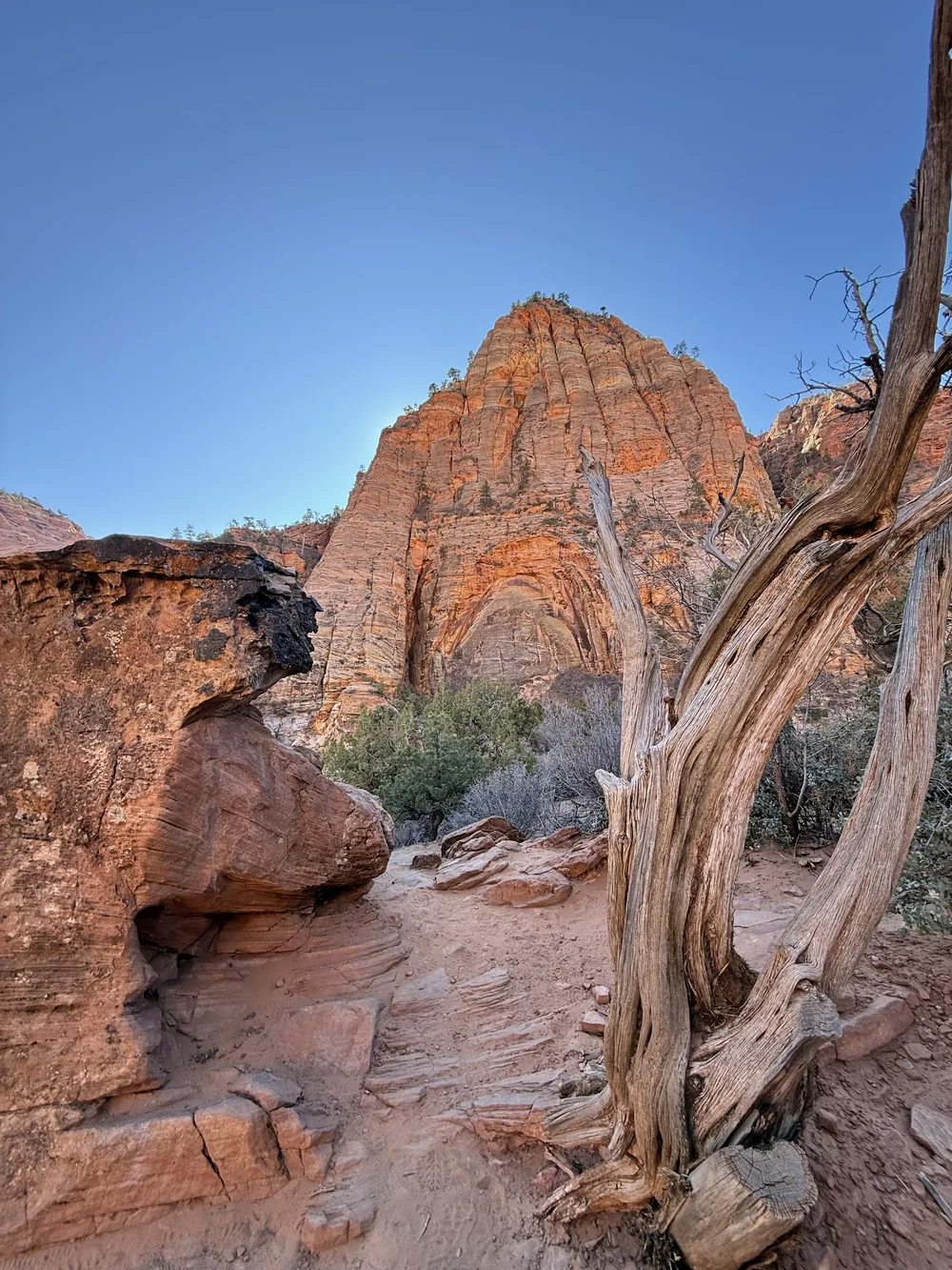 Canyon Overlook Trail