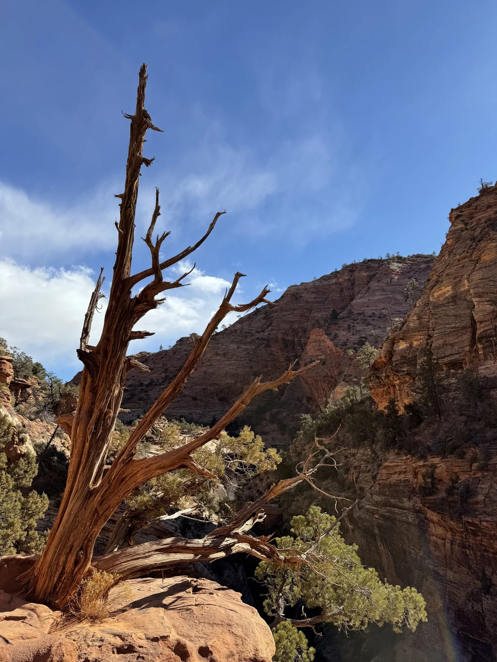 Canyon Overlook Trail