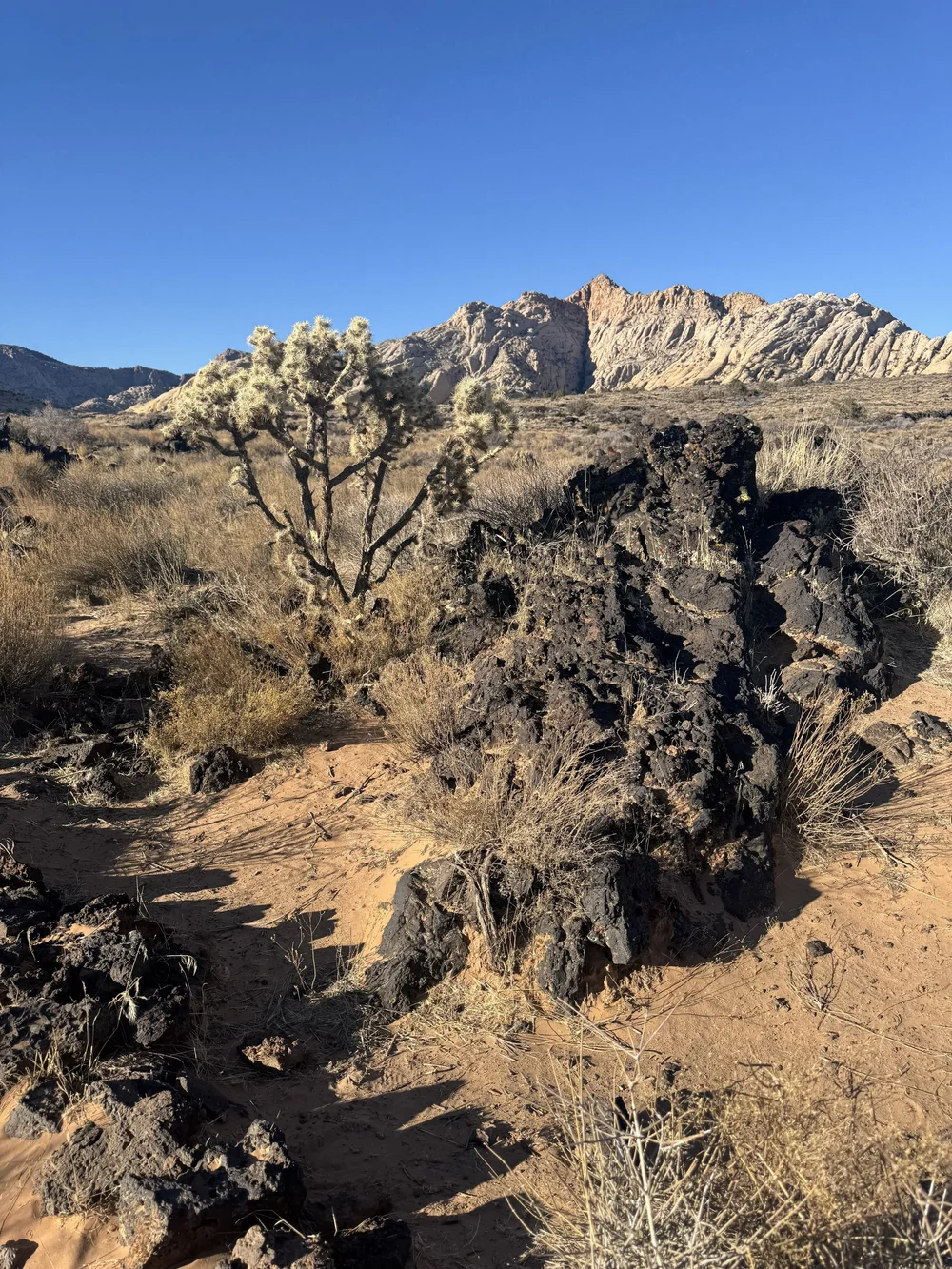 Snow Canyon State Park