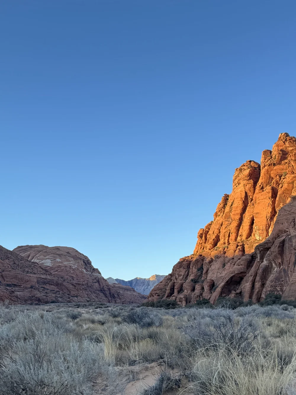 Snow Canyon State Park