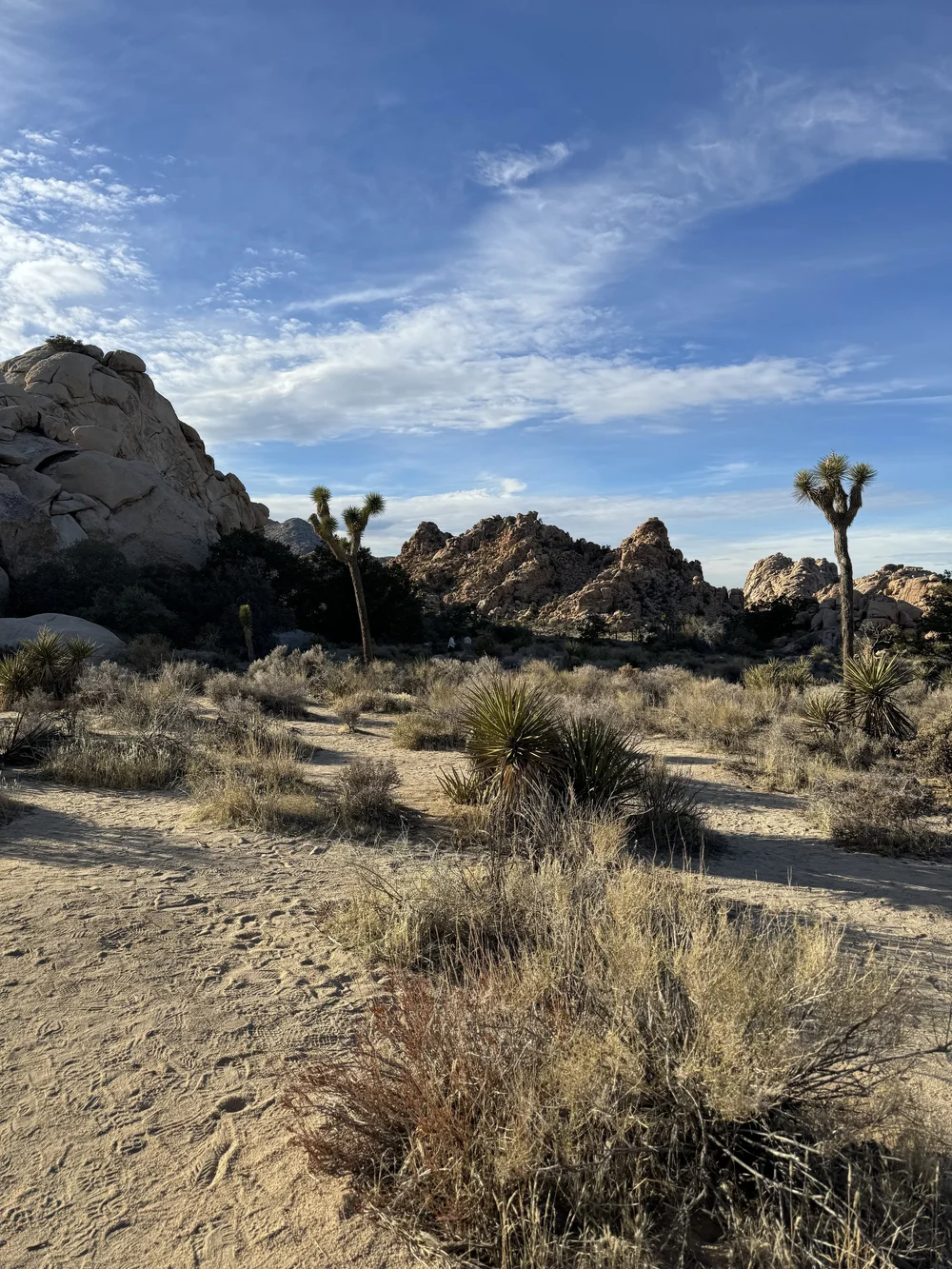 Hidden Valley Nature Trail