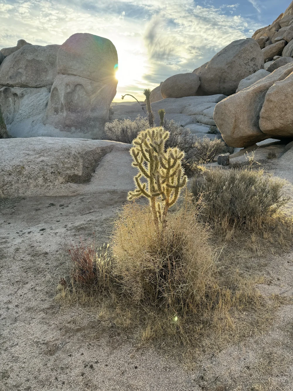 Hidden Valley Nature Trail