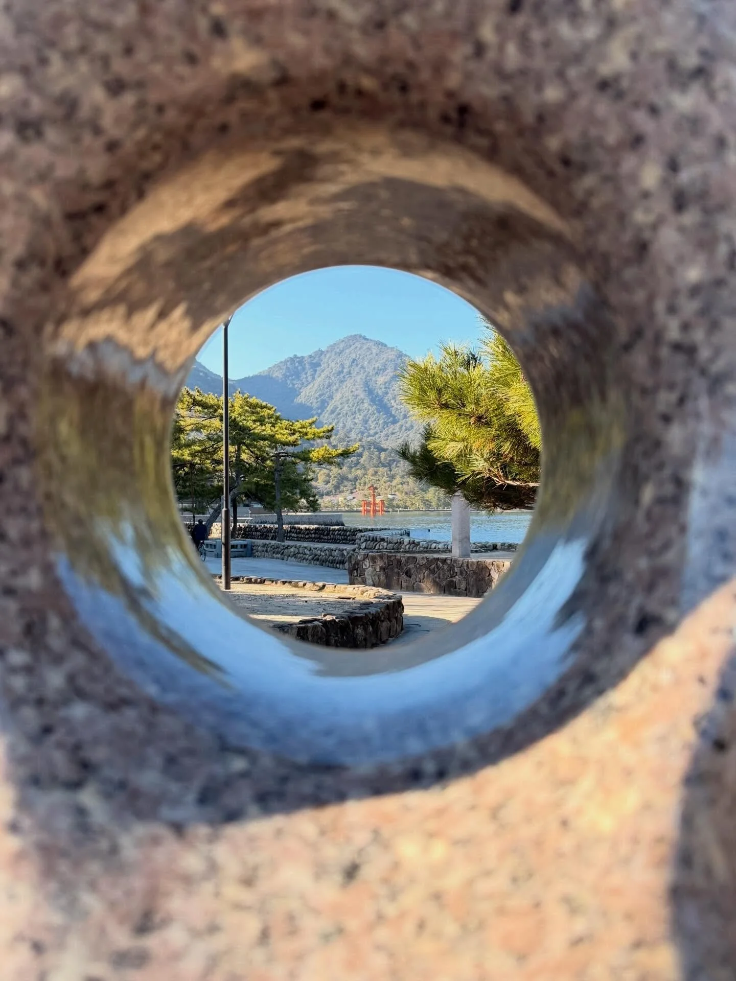 Finally ticked off a bucket list item! All thanks to receiving a wooden ema of the floating gate from @crd212 years ago🙏 High tide, low tide &mdash; two kinds of magic, one gate. Leo made it unforgettable and the deer were the welcoming committee ⛩️