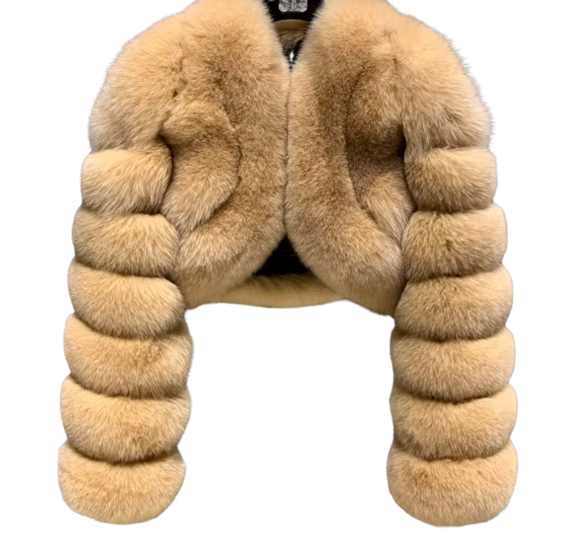 Untitled design (3).PNG