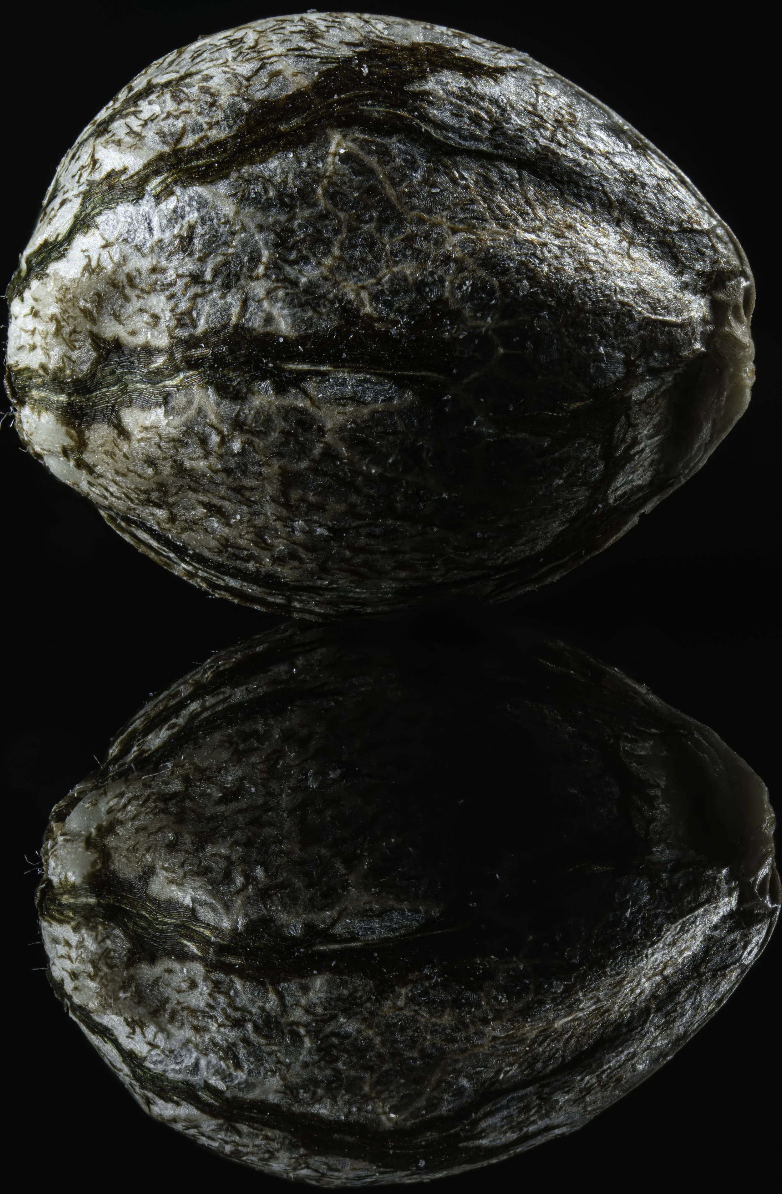 2019-08-29 15-14-41 (A,Radius7,Smoothing2).jpg