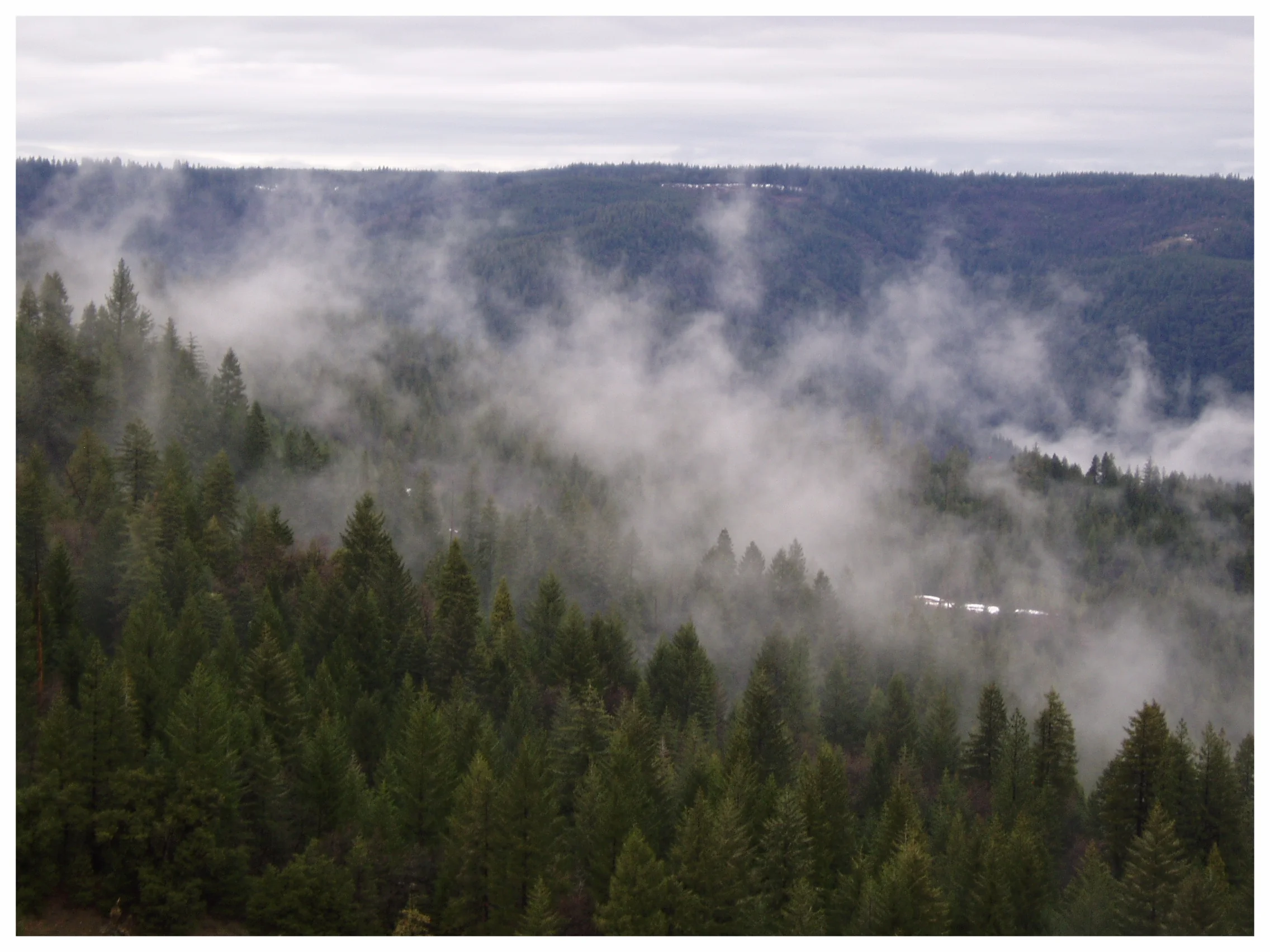 The Sierra Foothills