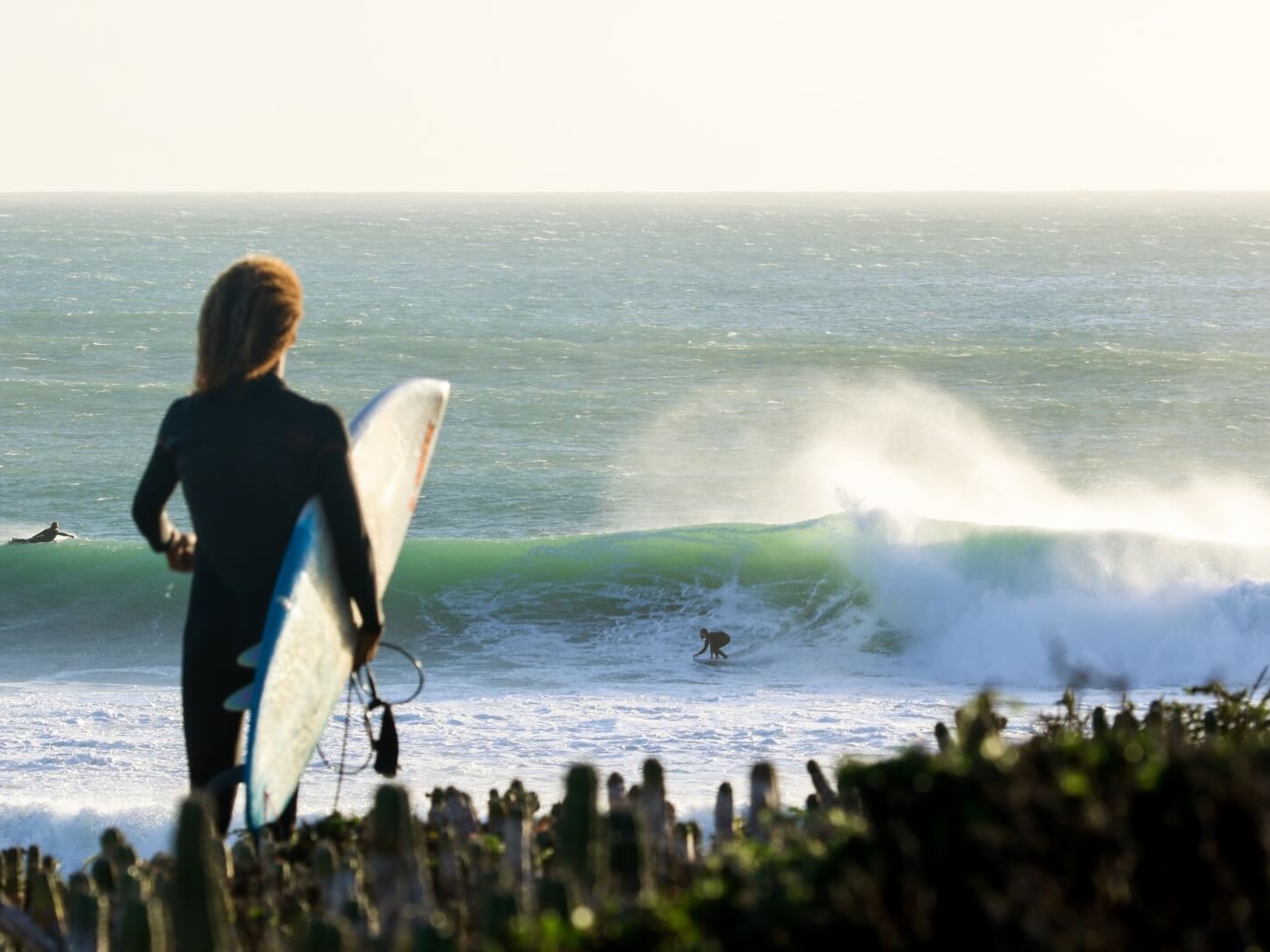 Surf+3.jpg