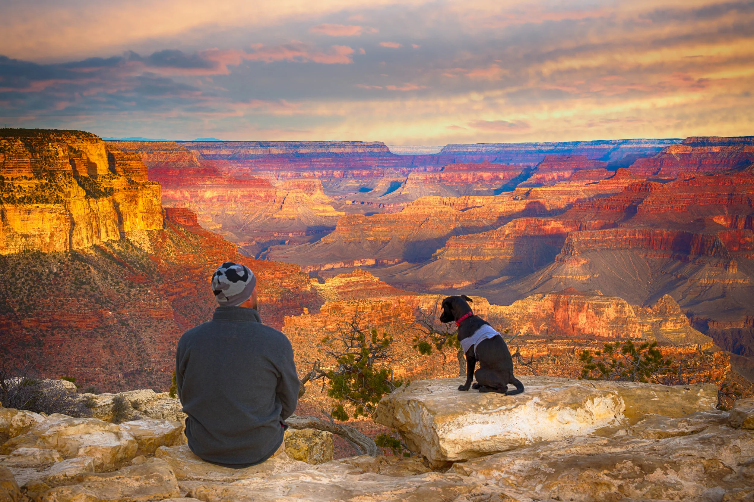 under 20mb ty and Wrigley at grand canyon .jpg