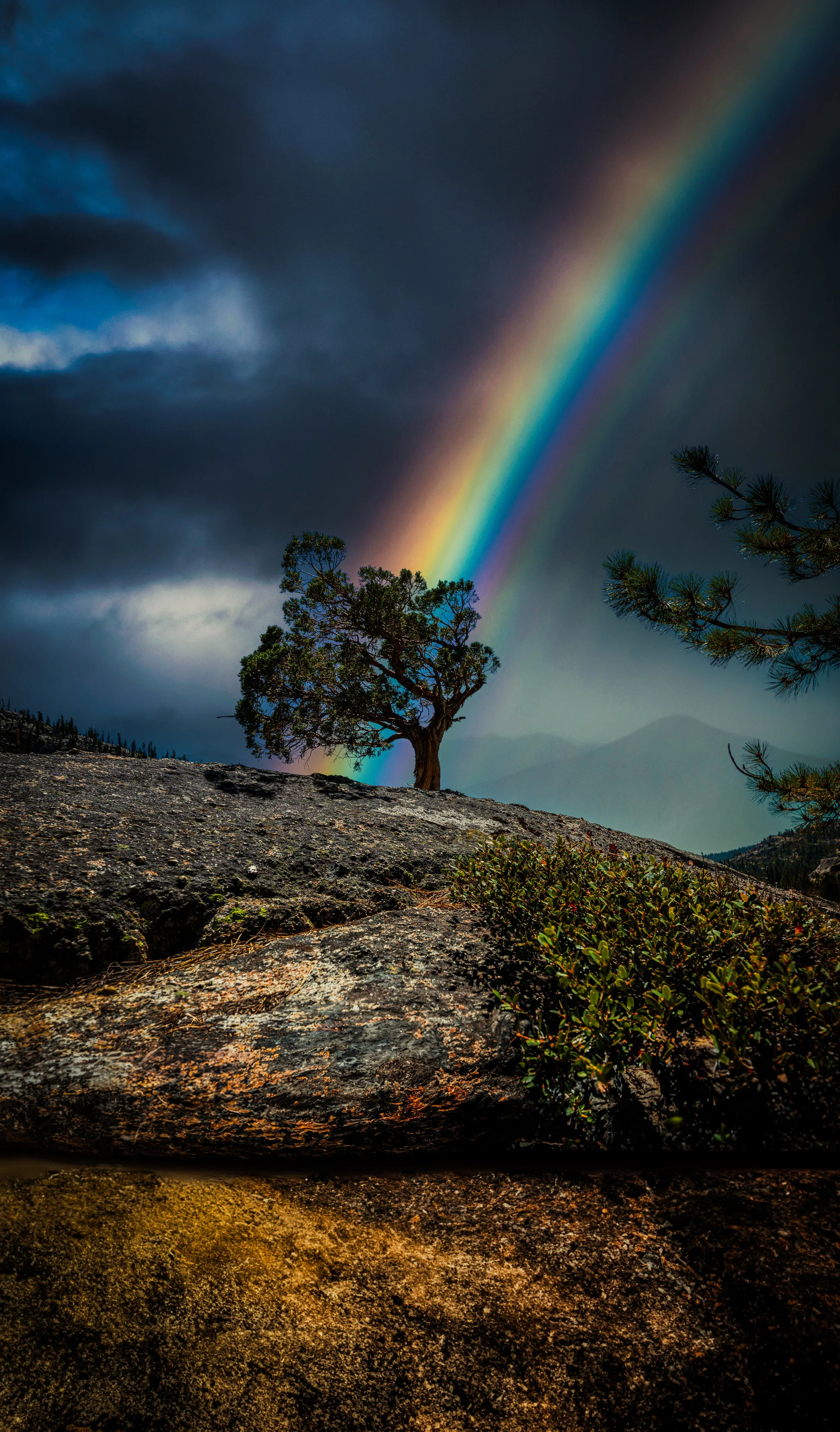 16 mb Lone Tree Pot of gold  MOODY EDIT.jpg