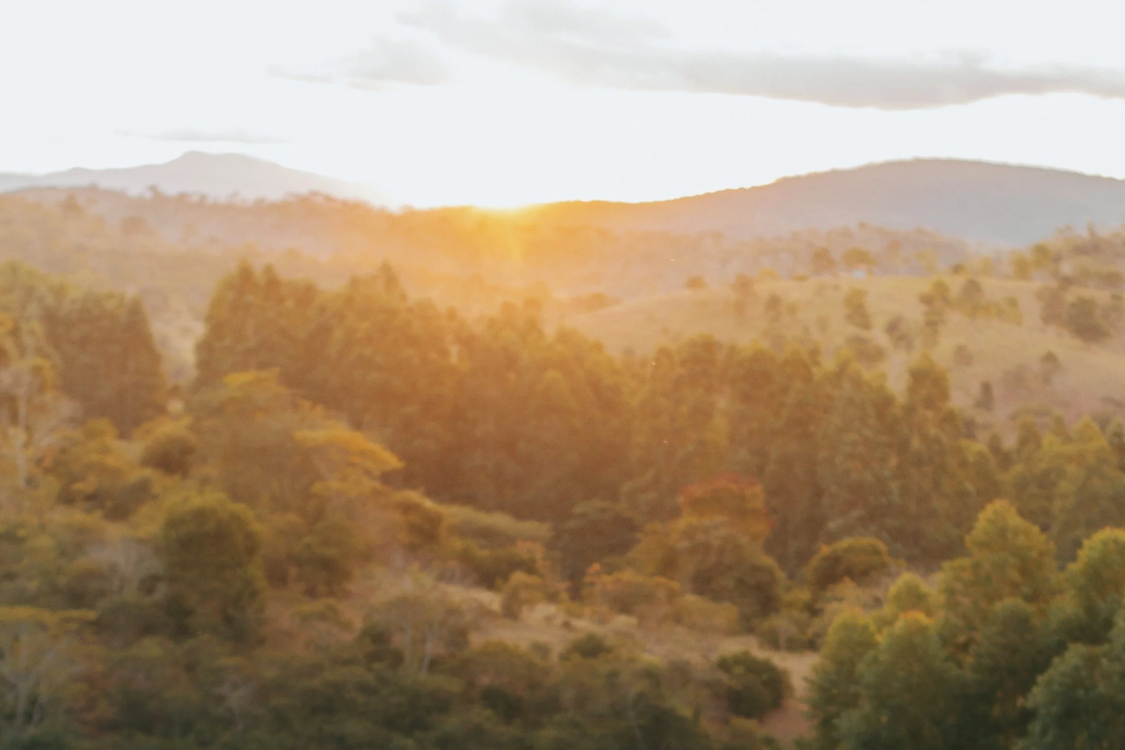 countryside-dawn-fall-2695672.jpg