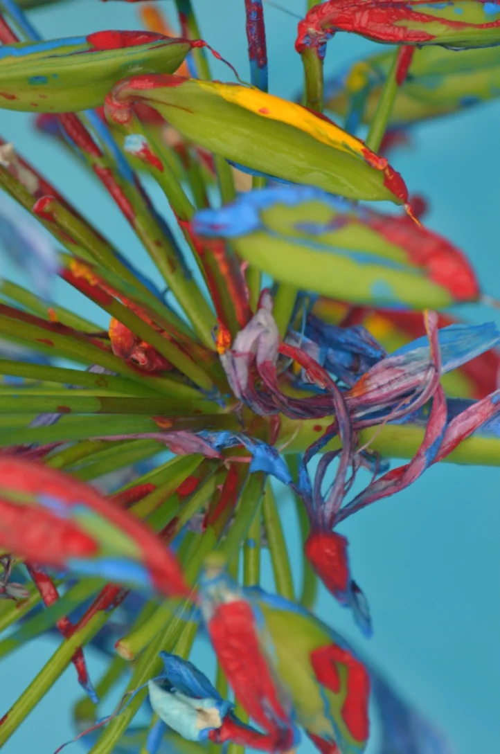  2018, Series 10 photos   