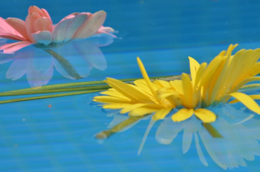  2017, Series 10 photos 