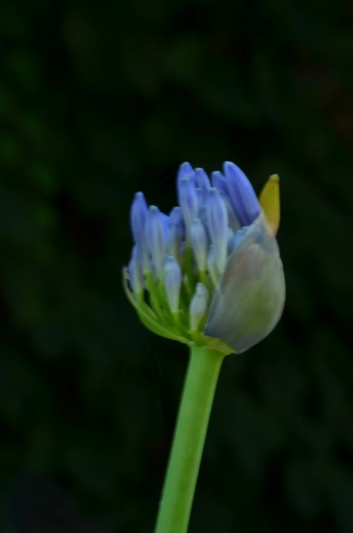  2017, Series 10 photos 