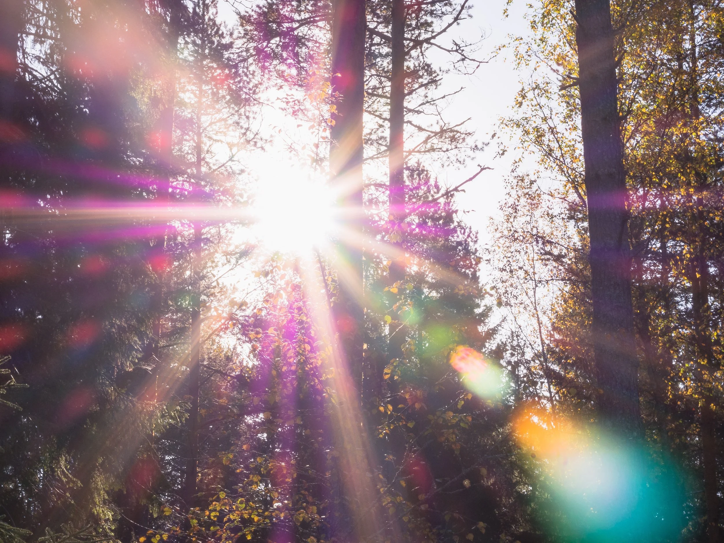 Photo captured by Patrick Selin