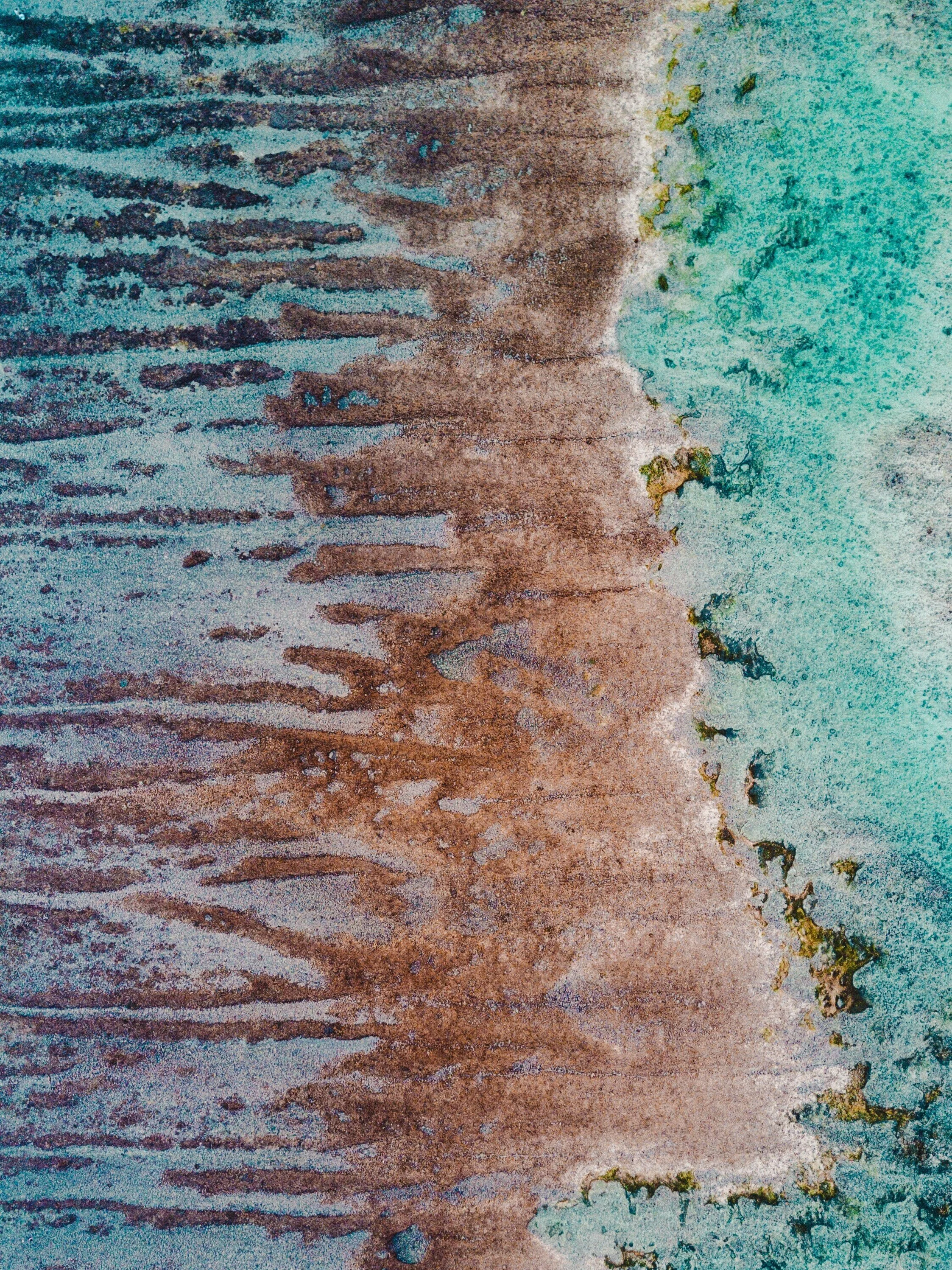 ivan-bandura-7AMO4gMc6jM-unsplash.jpg