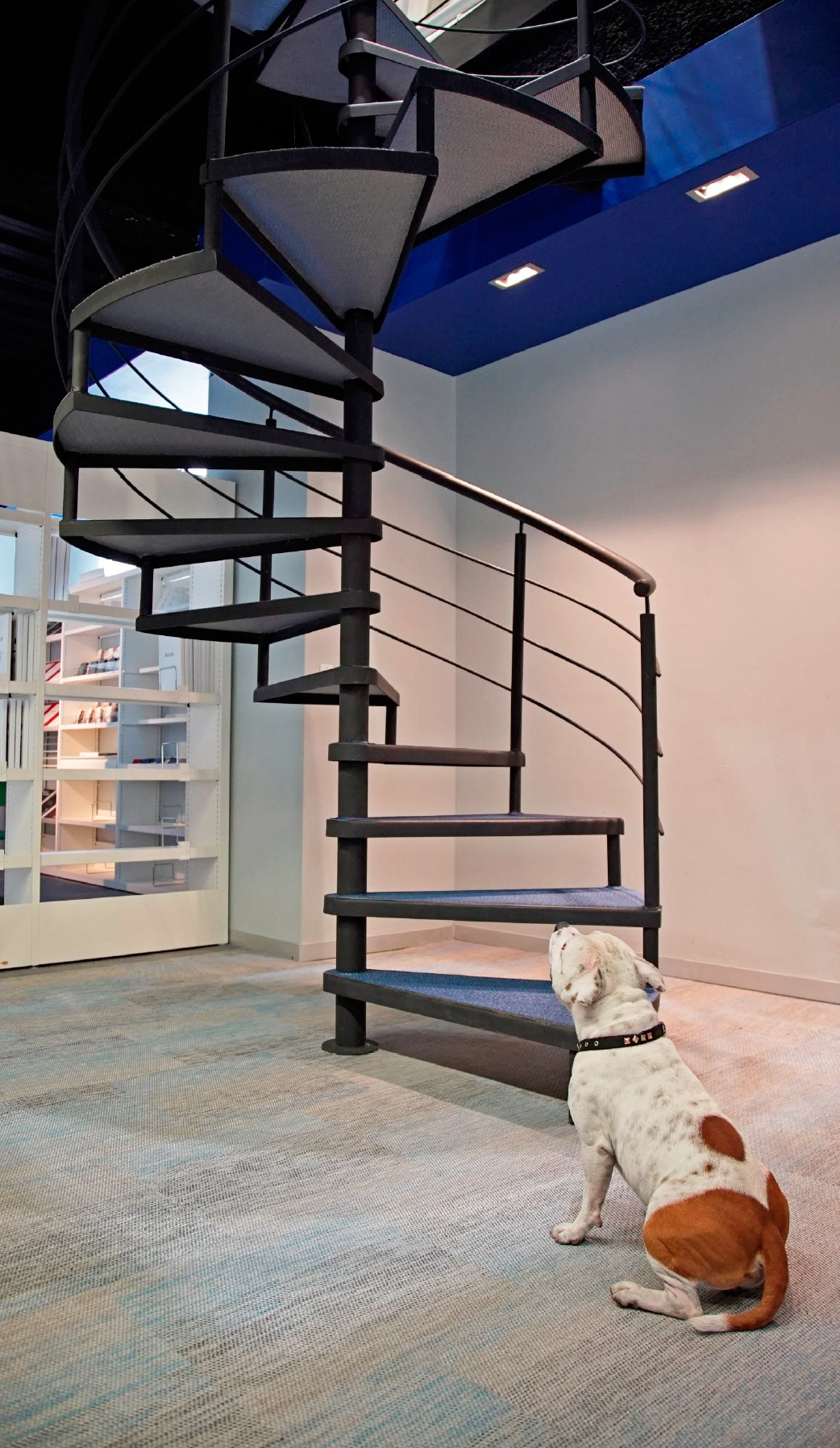 Captura de Pantalla 2020-09-25 a la(s) 11.58.02.png