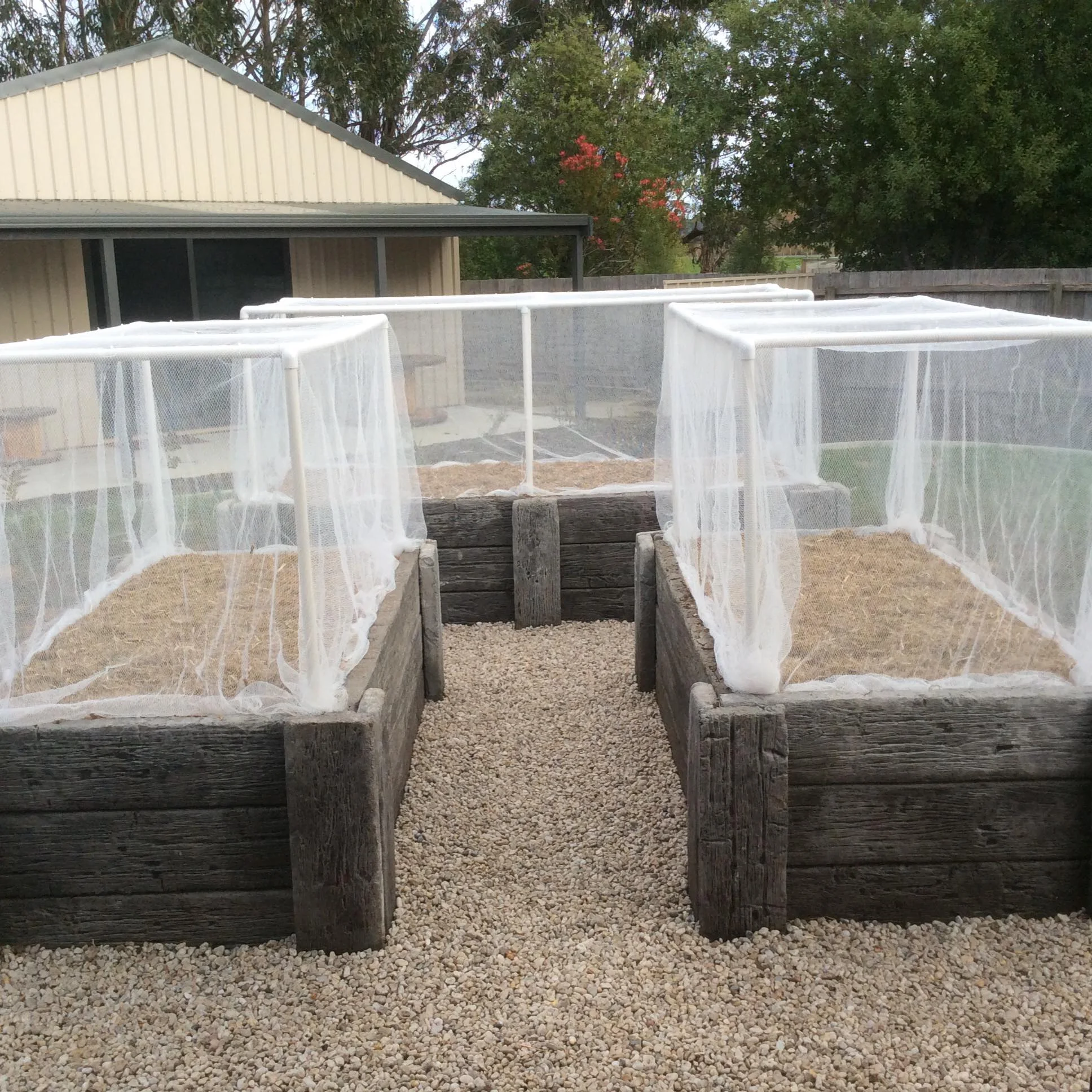 Raised Garden Beds