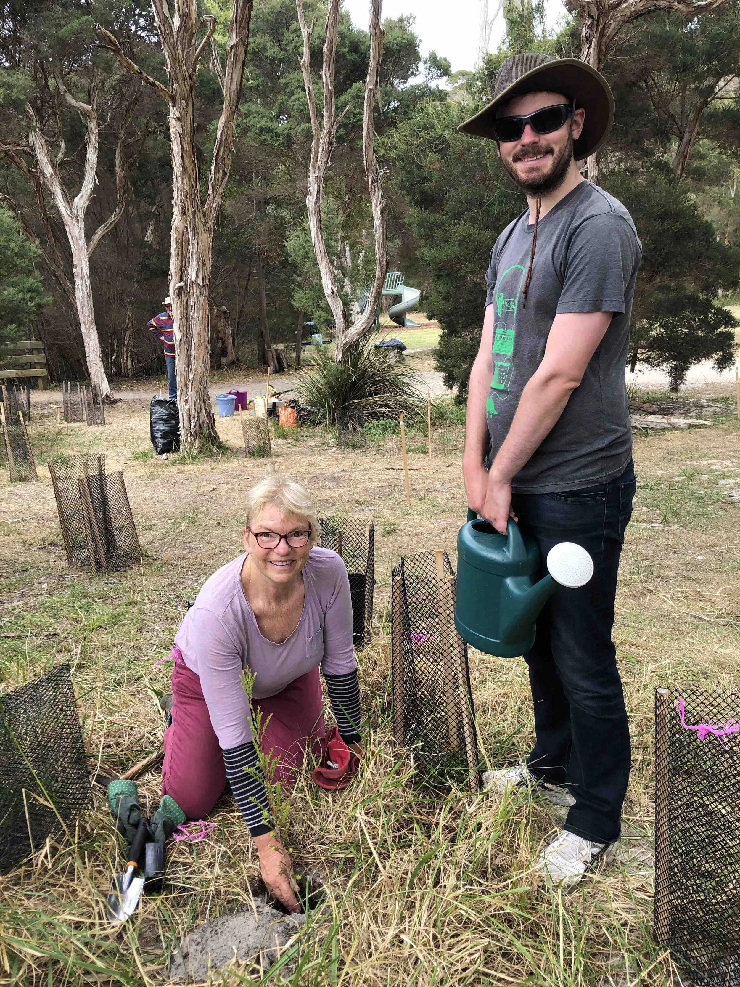 Penny Paperbark Working Group - Upcoming/Next Activity