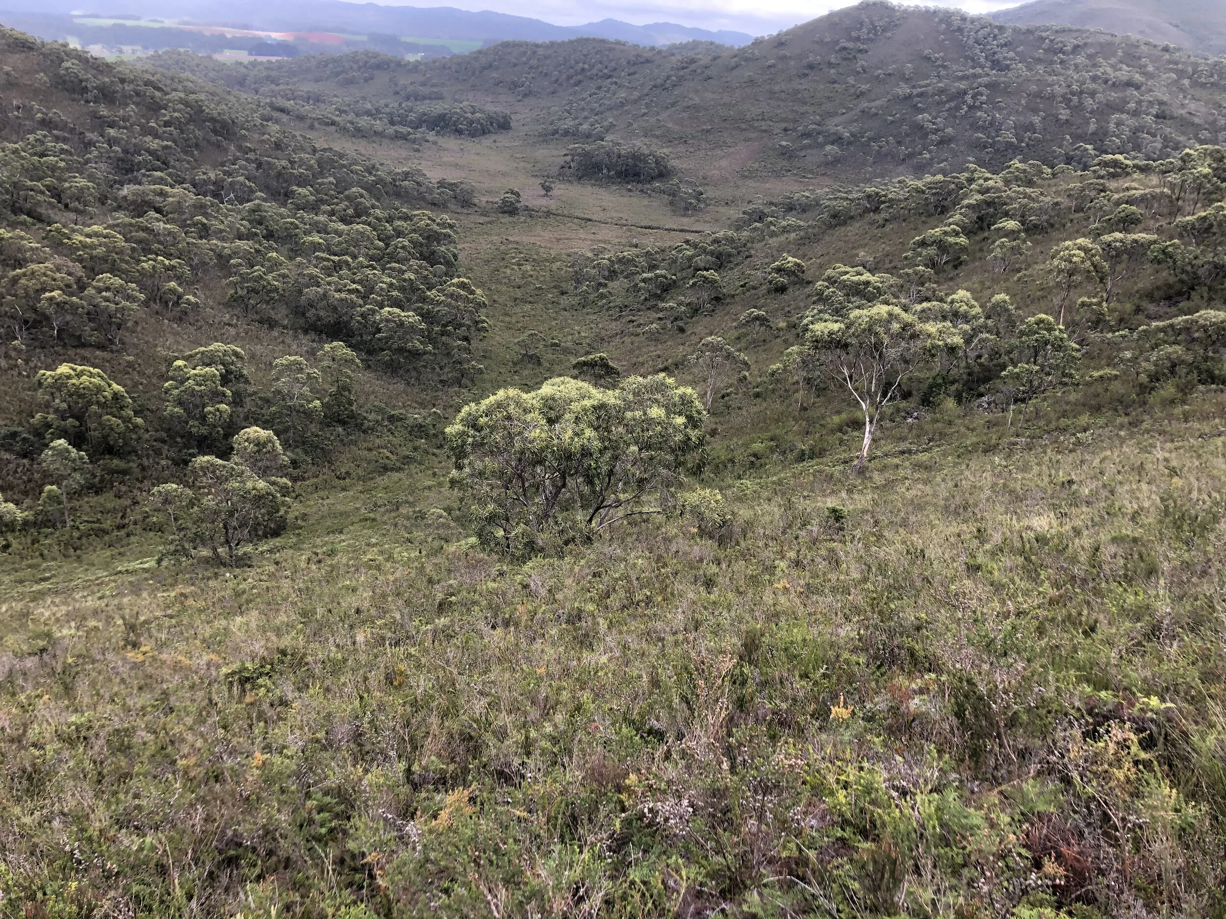 Petition regarding a second road to Sisters Beach